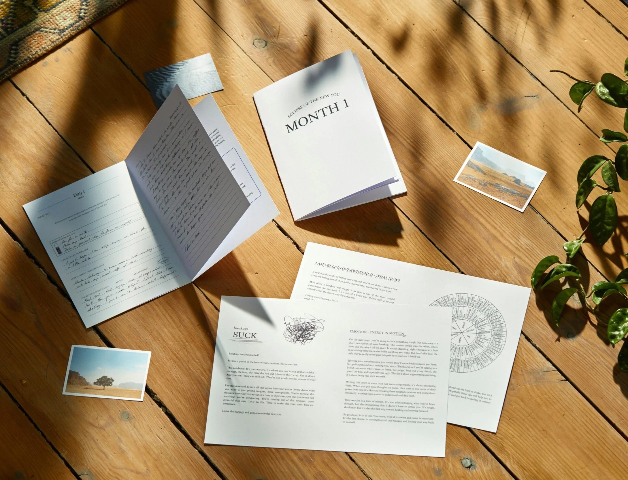 Custom Postcard Printing and Design