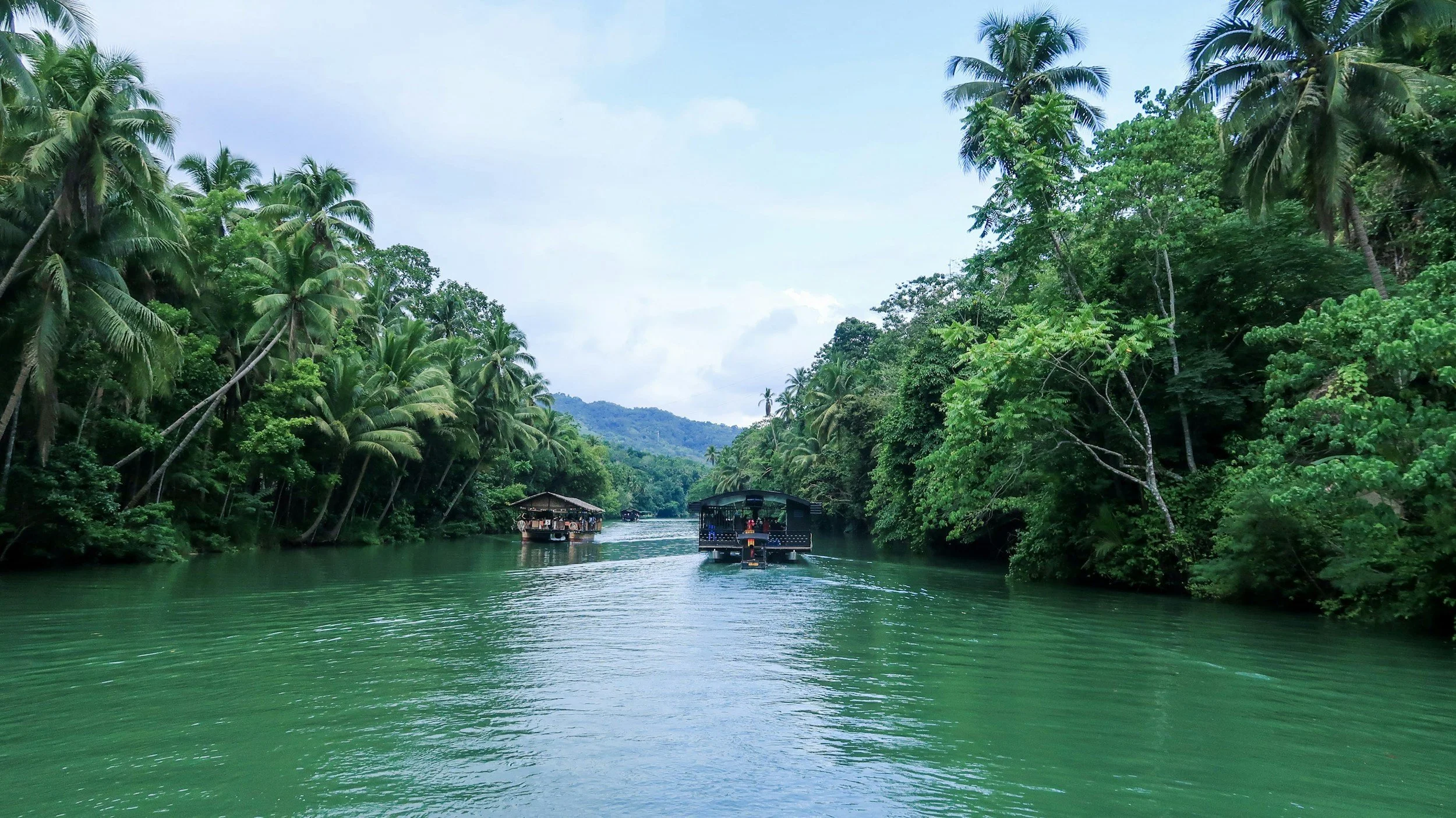 Bohol - River Cruise 