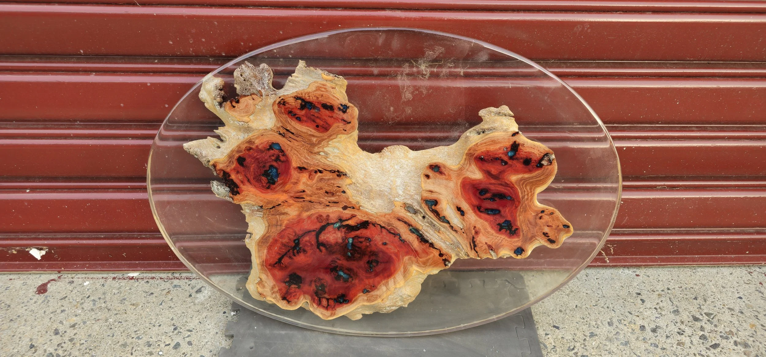 Oval Western Red Gum Burl Resin Piece