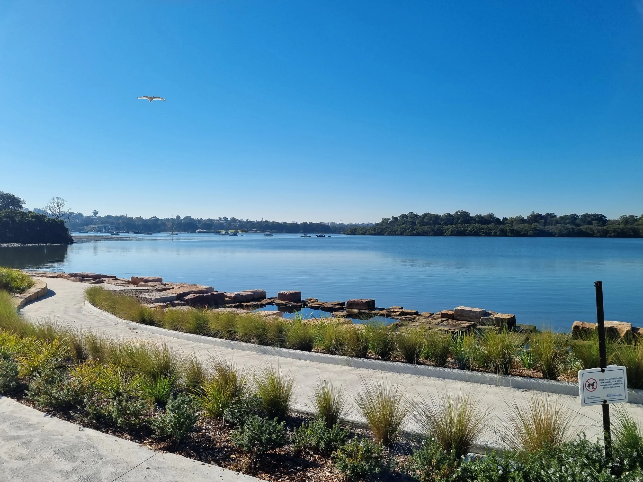 Occupational Driving Assessments across the Central Coast and Lake Macquarie