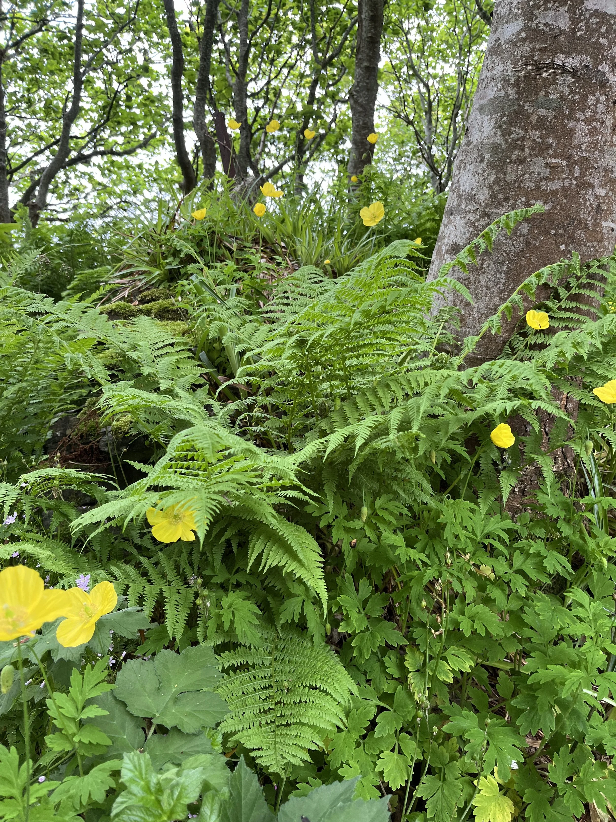 The Sins of the Fathers