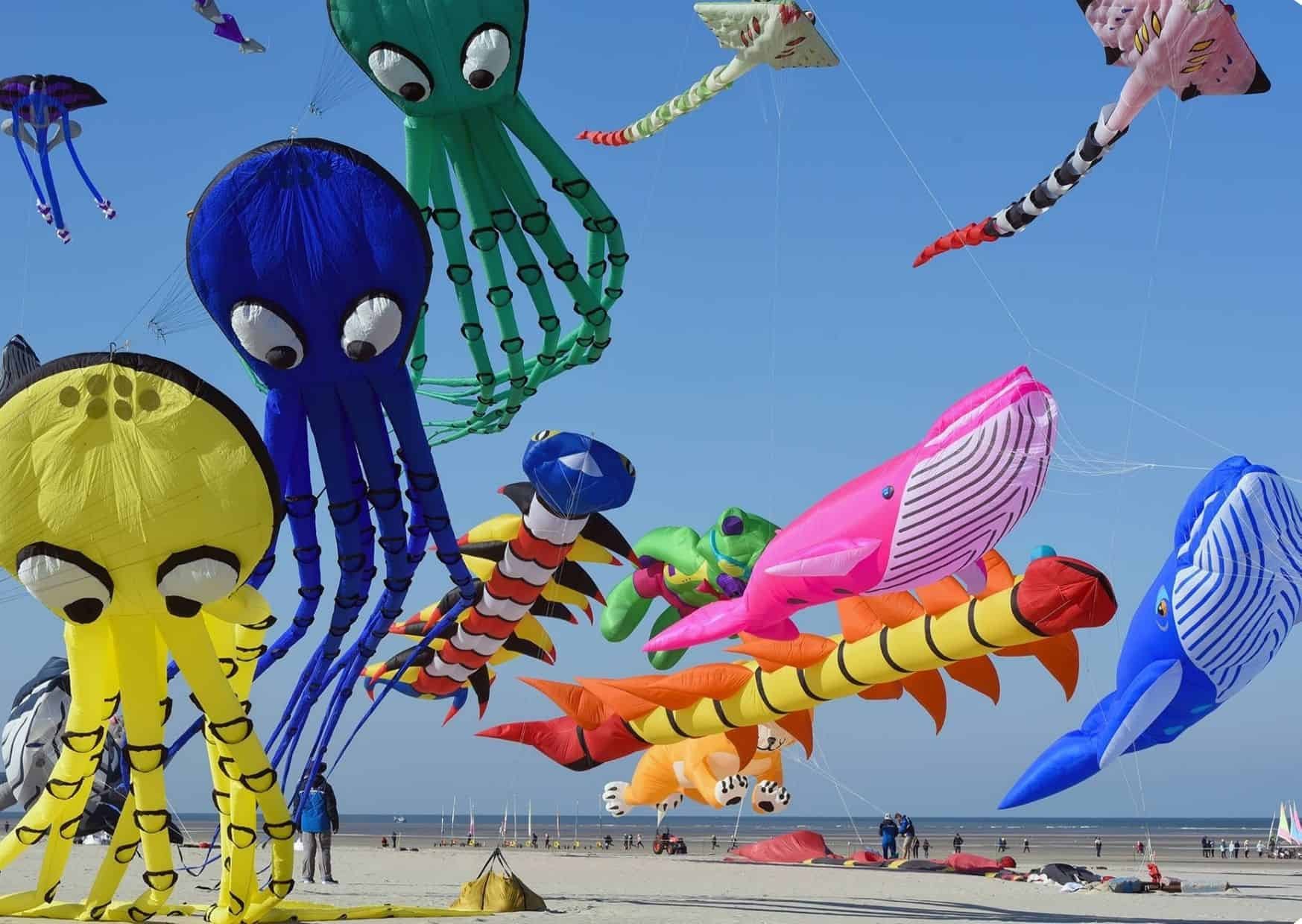 📌Avril – cerfs-volants, nature et escapades de printemps sur la Côte d’Opale