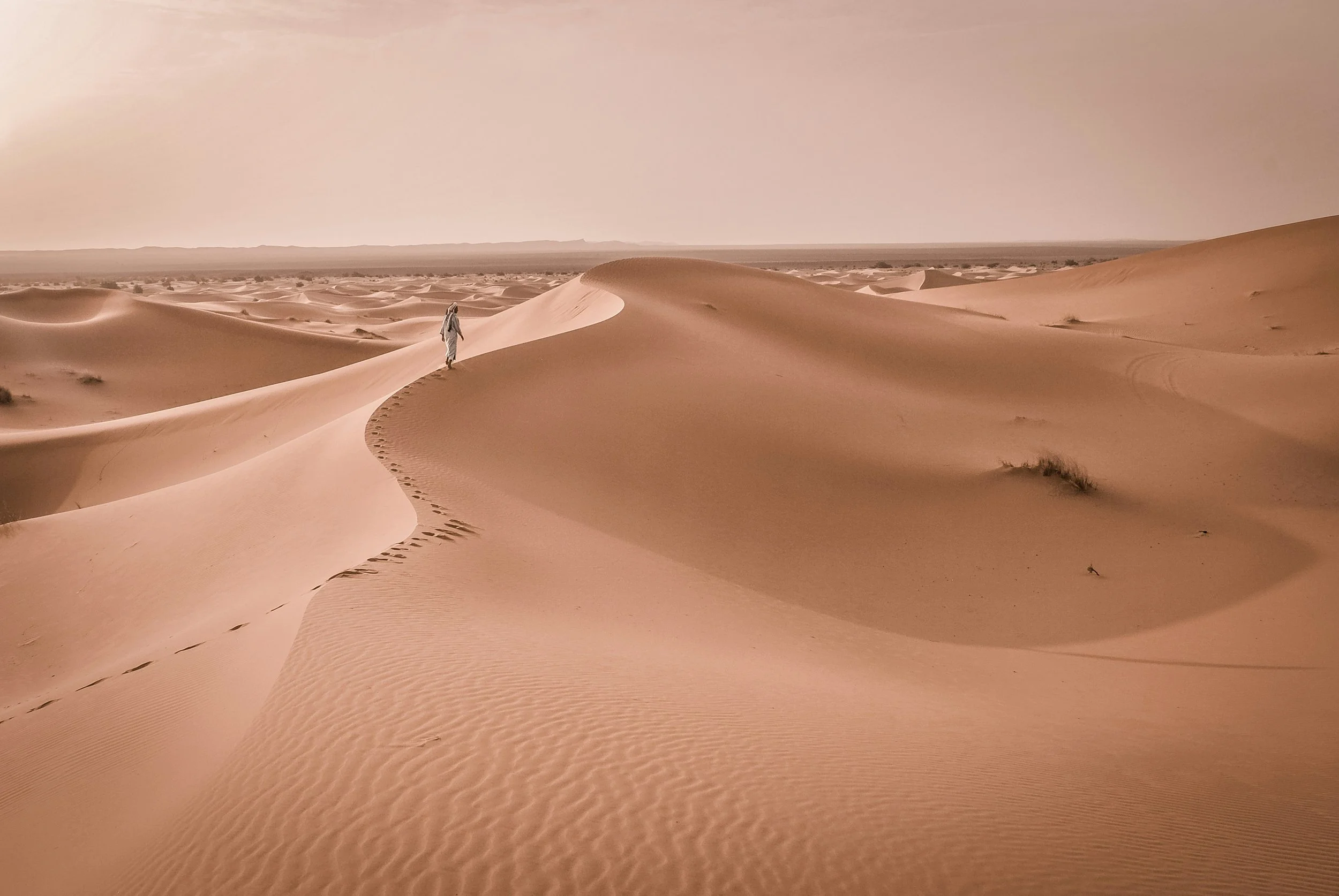 Camel caravan silhouetted against the Sahara desert dunes at sunset, Morocco, on a private luxury tour