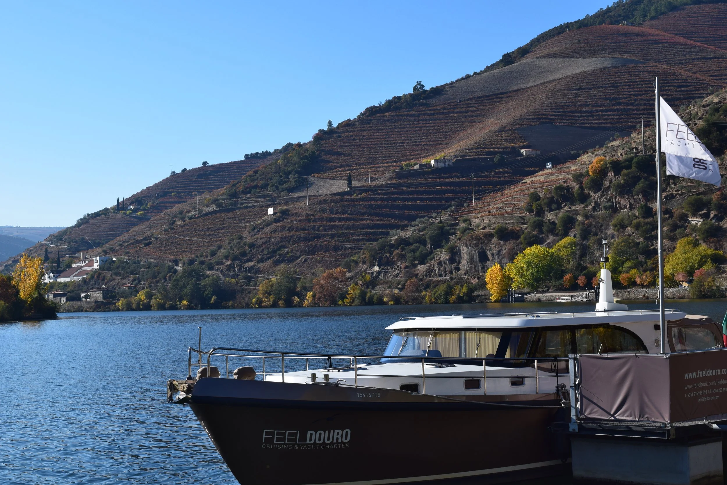 A private cruise boat on the Douro River with terraced vineyards rising steeply on both banks, on a wine tasting cruise through the Douro Valley, Portugal