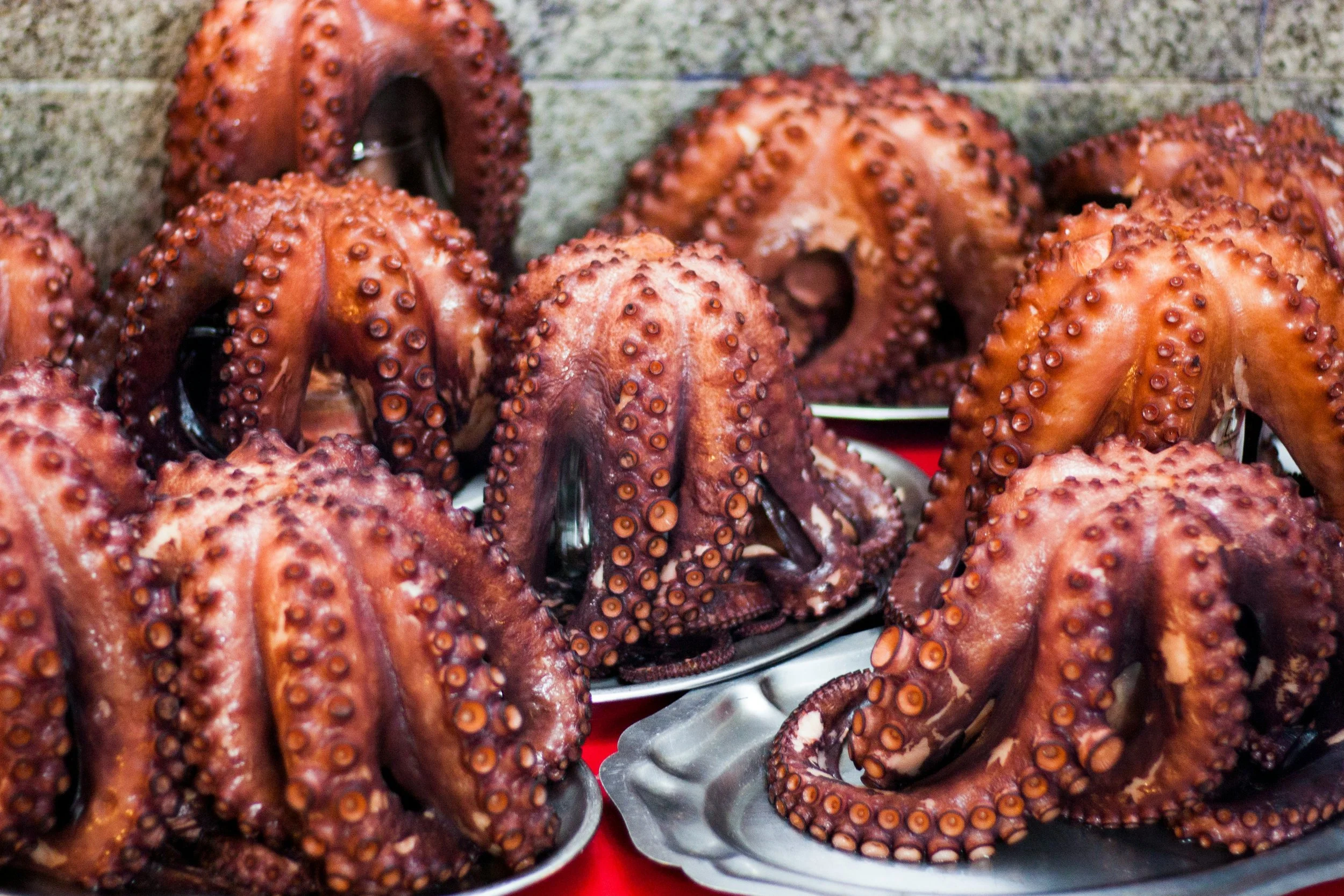 Whole freshly cooked Galician octopus on silver plates at a seafood restaurant in Galicia, one of the region's most celebrated culinary traditions, northwestern Spain