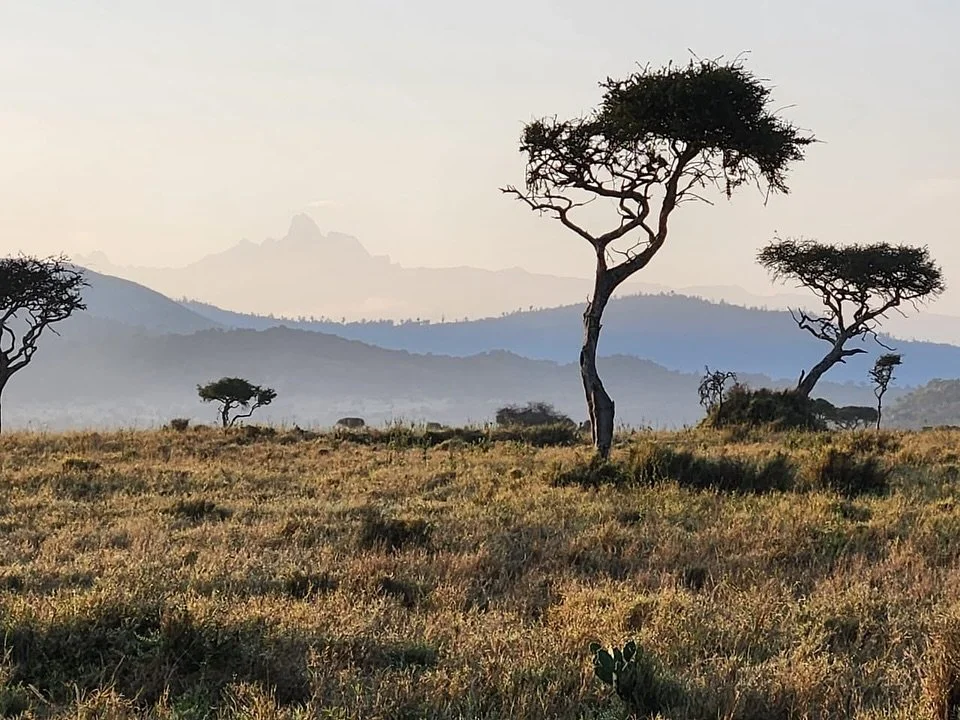 Africa has a special aura and the softness of a childhood dream ✨