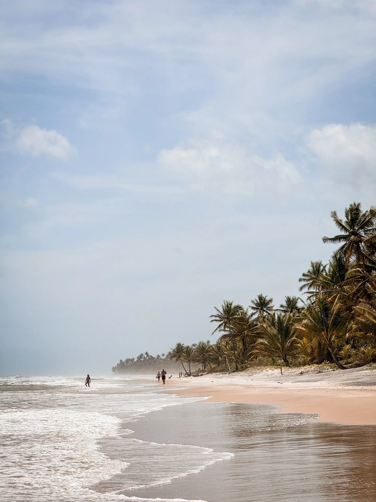 ✨ Brazil, Beyond the Ordinary ✨ From iconic coastlines to hidden rainforest sanctuaries, experience a journey designed exclusively for you.
Tailored. Rare. Unforgettable.
 #LuxuryTravel #ExclusiveJourneys #TailorMadeTravel