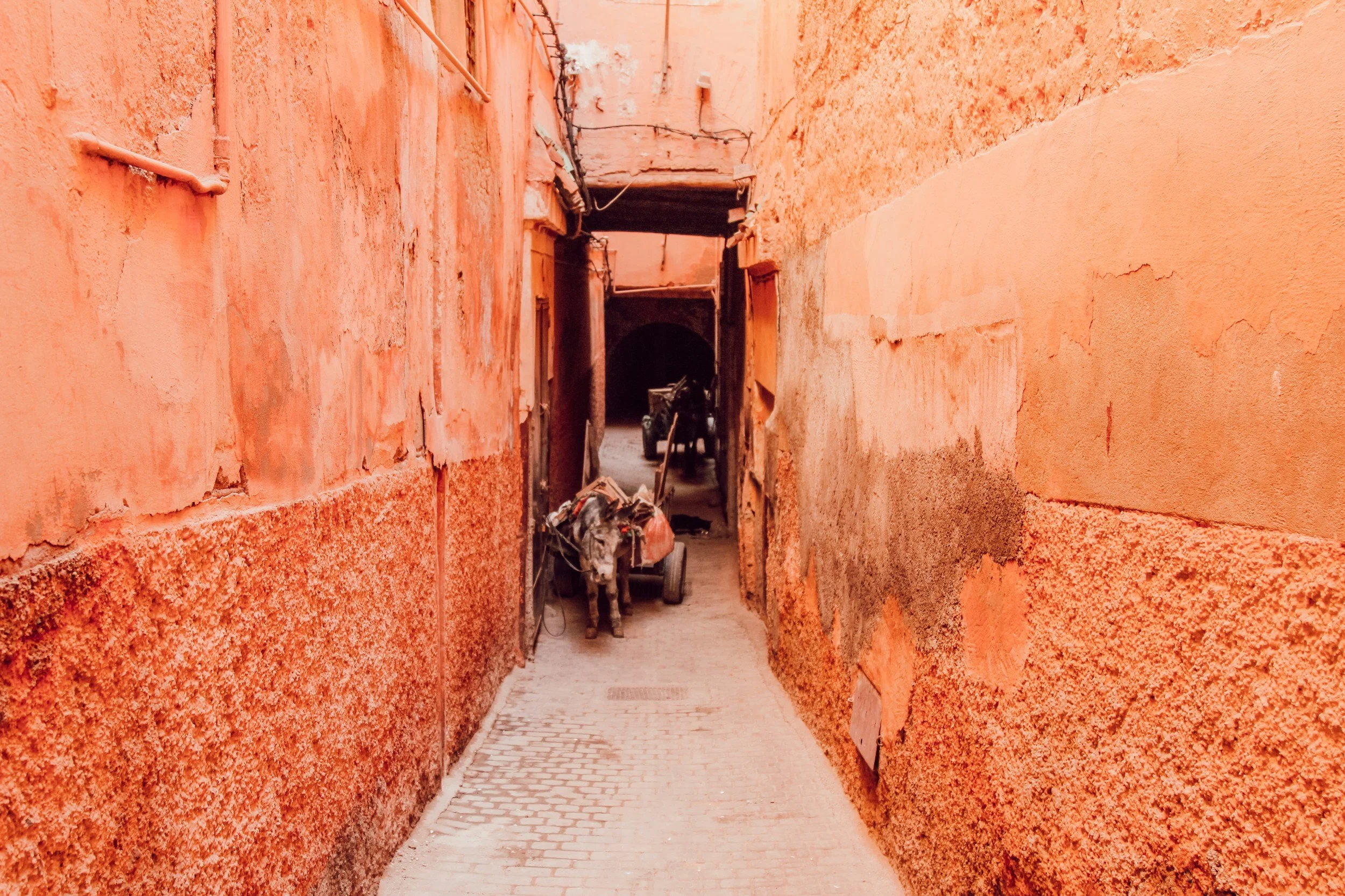 Narrow alleyway in the Marrakech medina, Morocco, on a luxury private tour