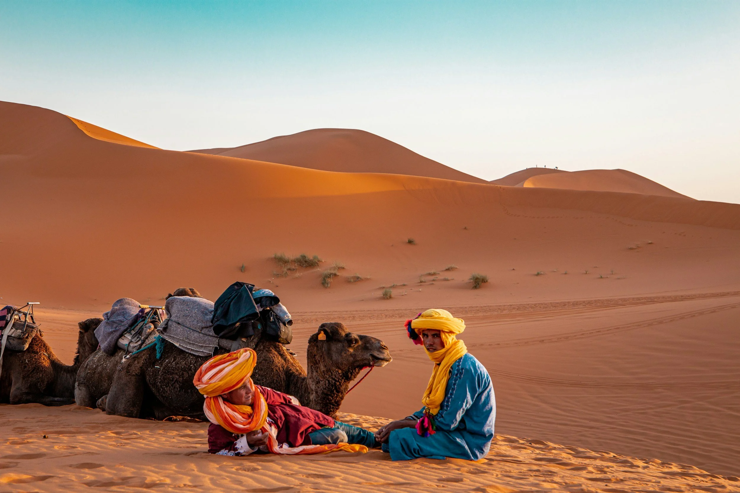 Tuareg guides resting with camels on the Erg Chebbi dunes, Sahara Desert, Morocco