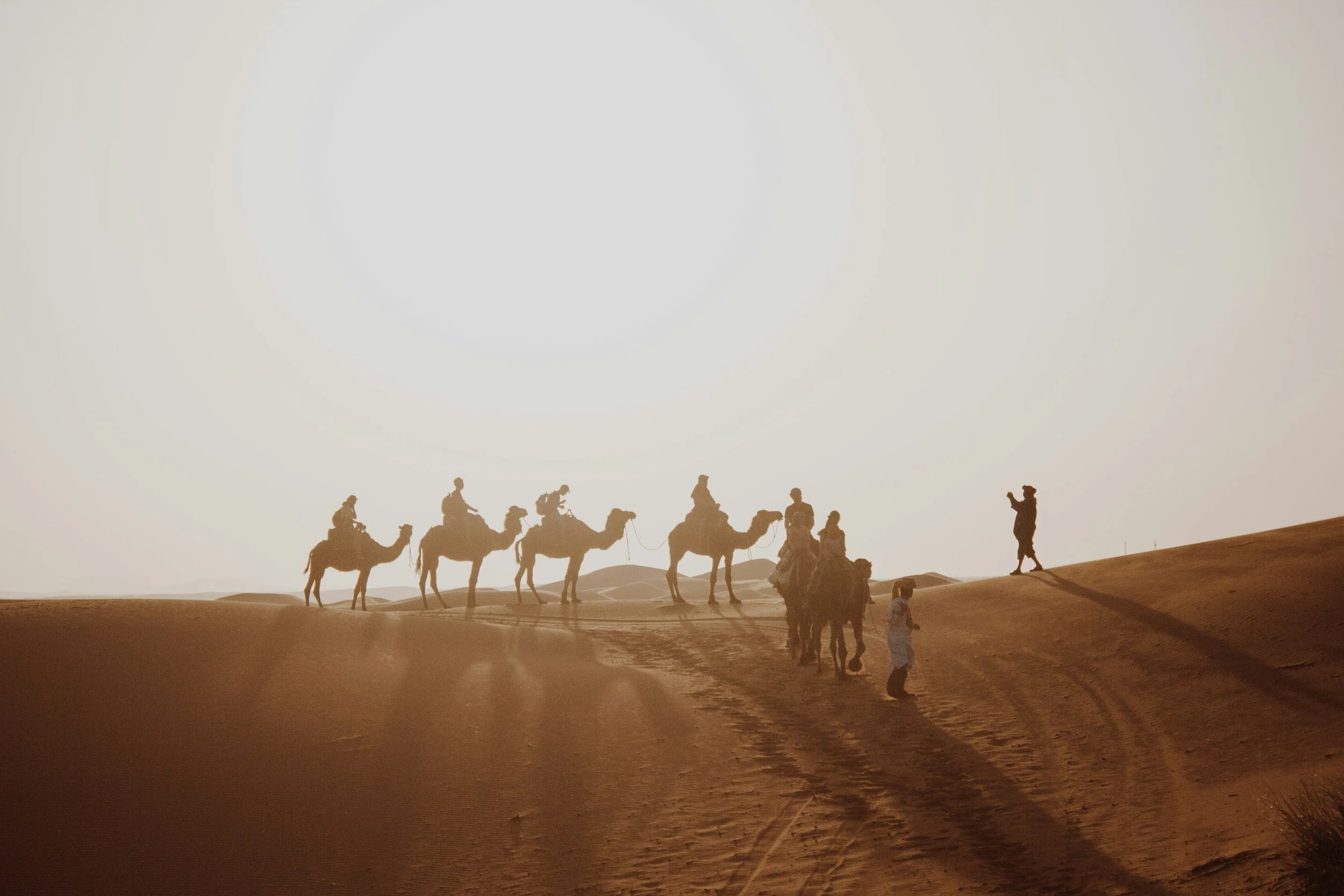 Silhouettes of camels and guides walking across the Sahara desert dunes at dusk, Erg Chebbi, Morocco
