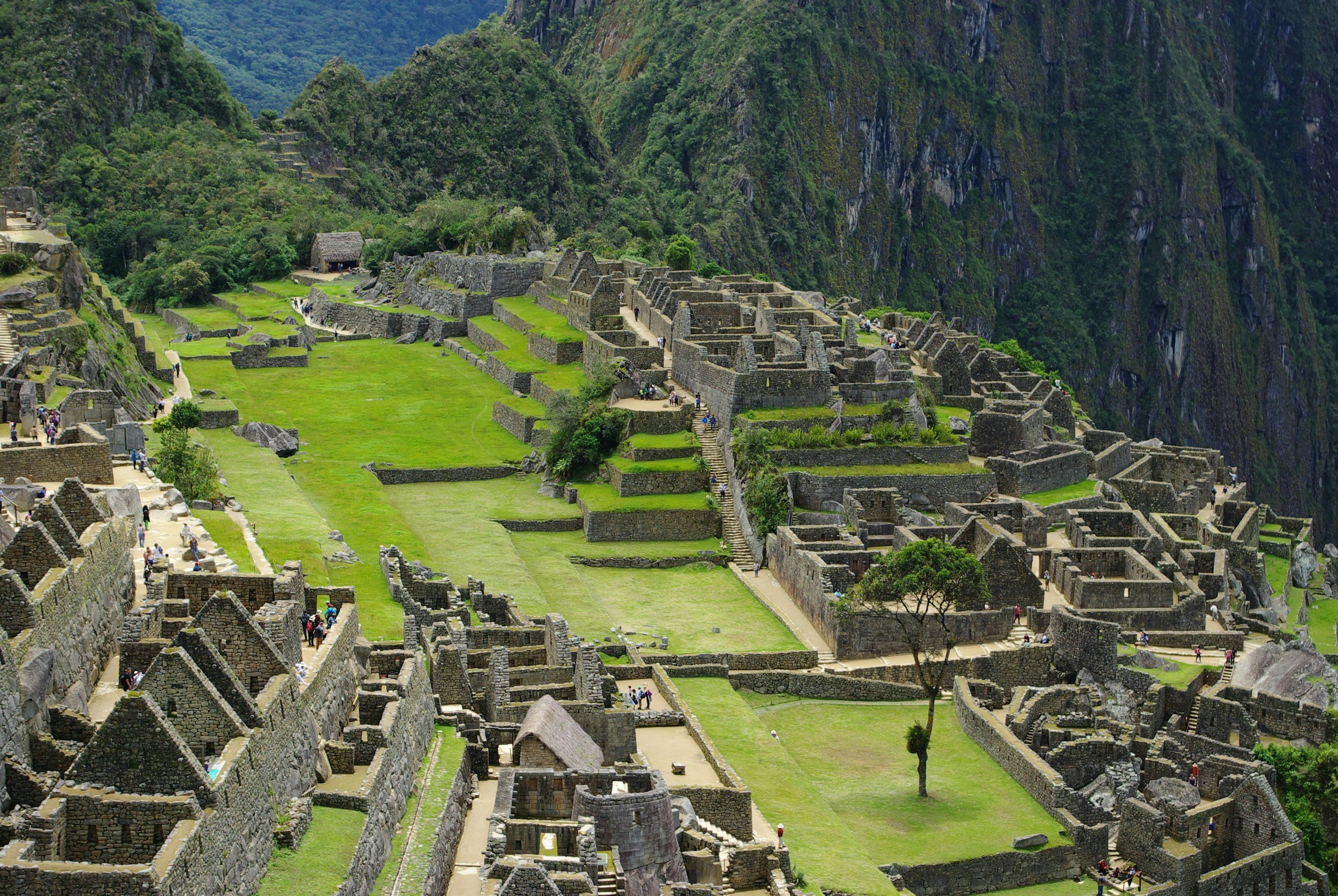 Empty terrace at Machu Picchu in the early morning before crowds arrive, Peru