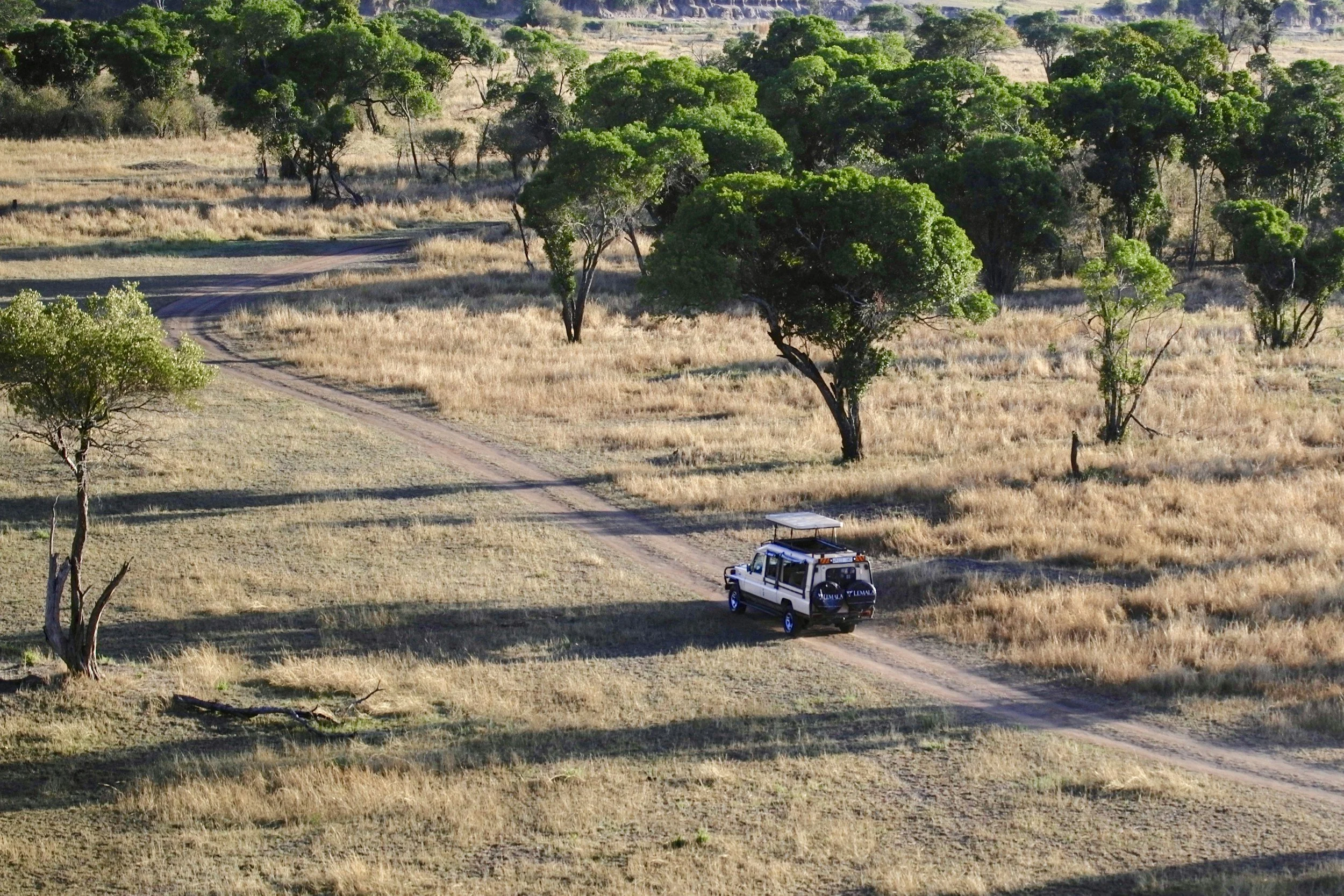 Aerial view of a private safari vehicle on a dirt track through the open woodland of the Serengeti, Tanzania