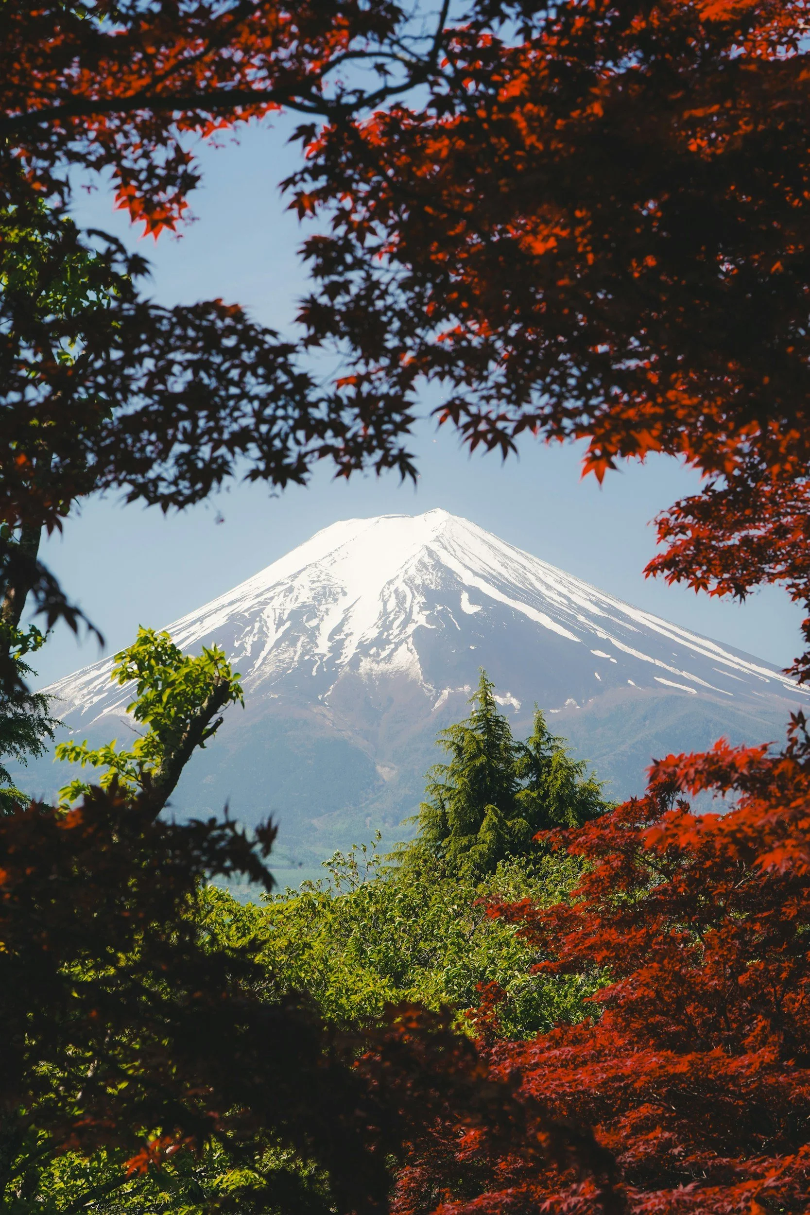 The snow-capped peak of Mount Fuji framed by red autumn foliage on a private luxury tour of Japan