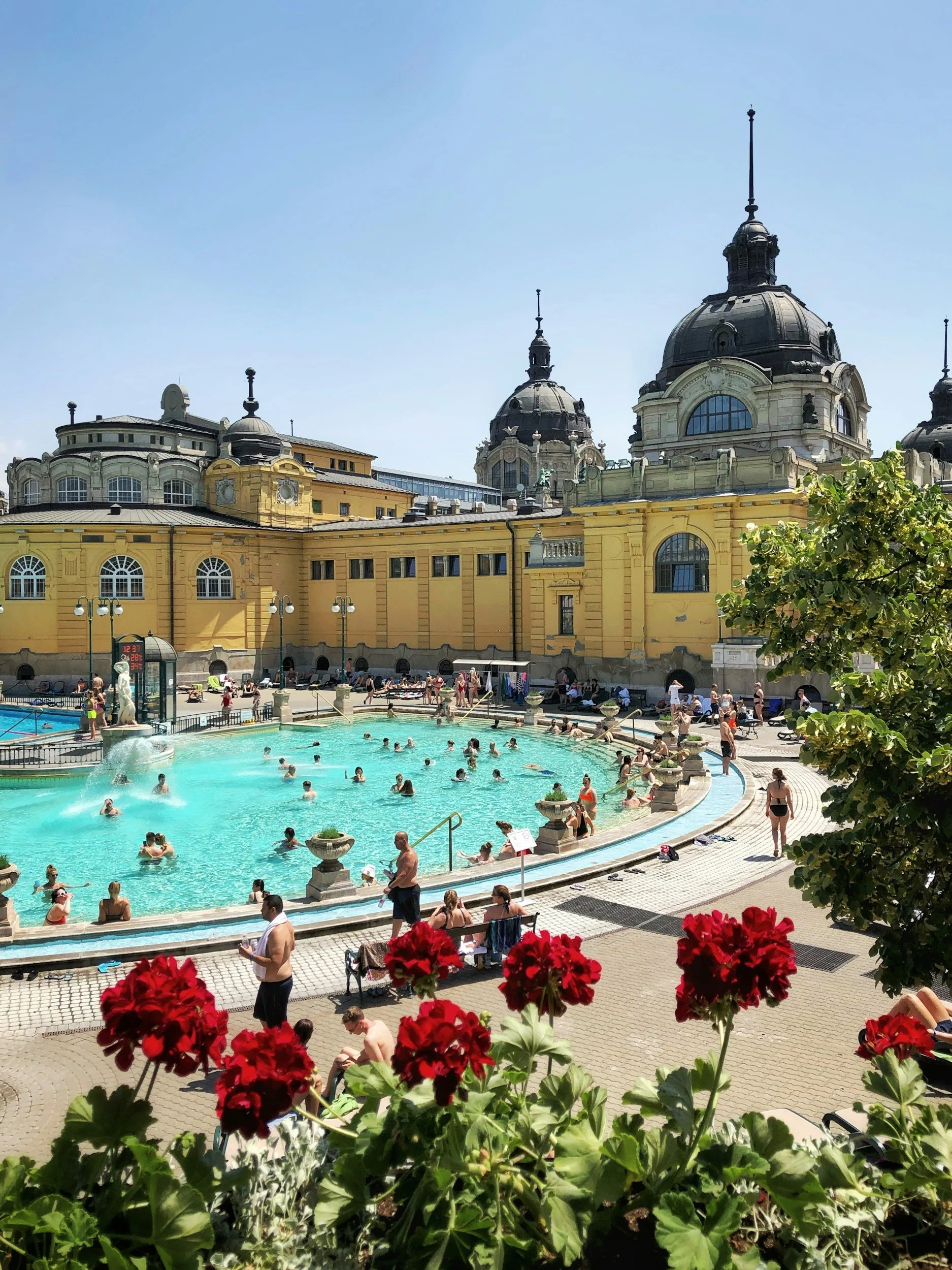 Bathers swimming in the turquoise outdoor thermal pool of the Szechenyi Baths in Budapest, with the yellow neo-Baroque bathhouse dome and red geraniums in the foreground