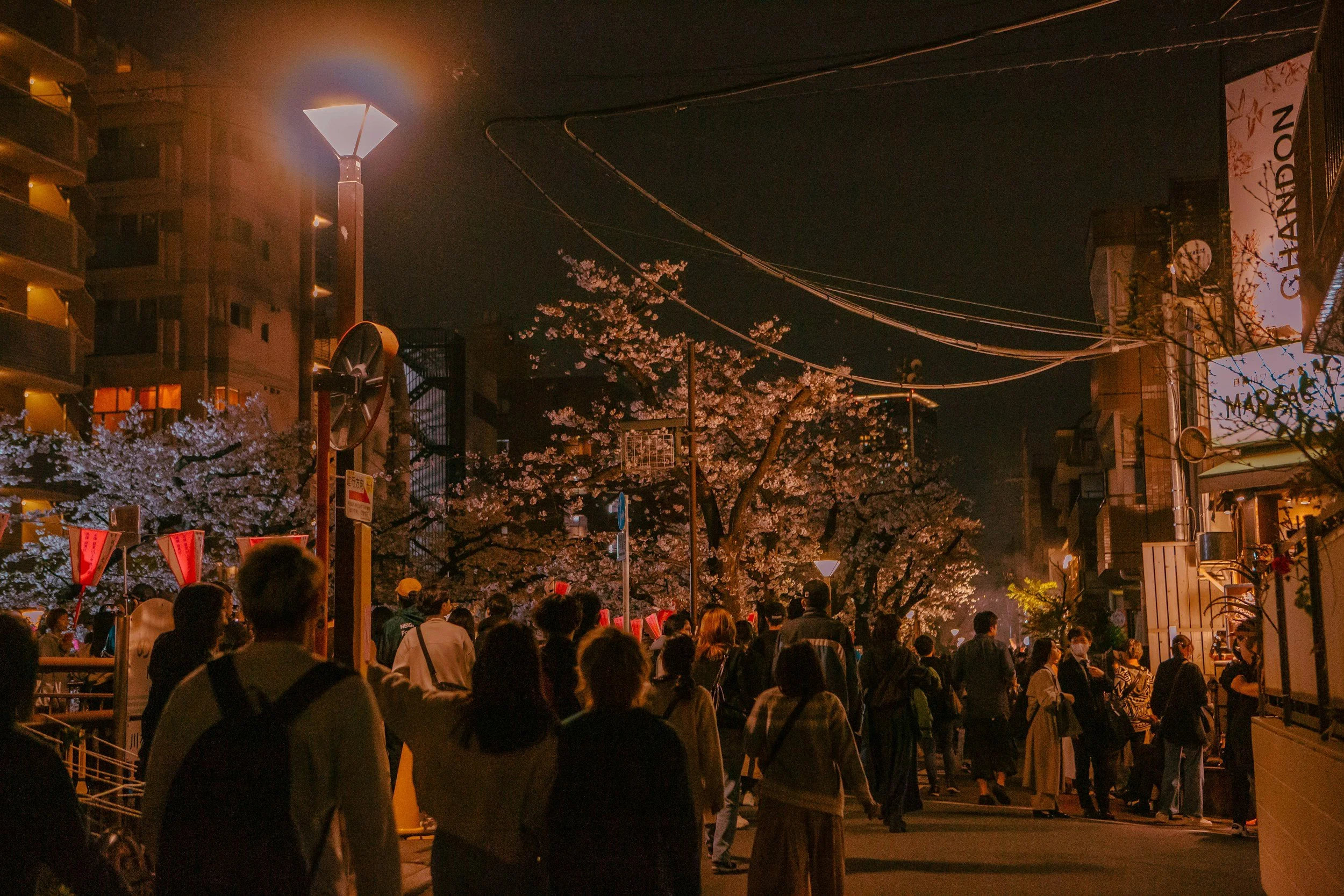 Large crowd of people walking along a Tokyo street at night beneath cherry blossom trees lit up by street lamps, with red festival banners and neon signs lining the road
