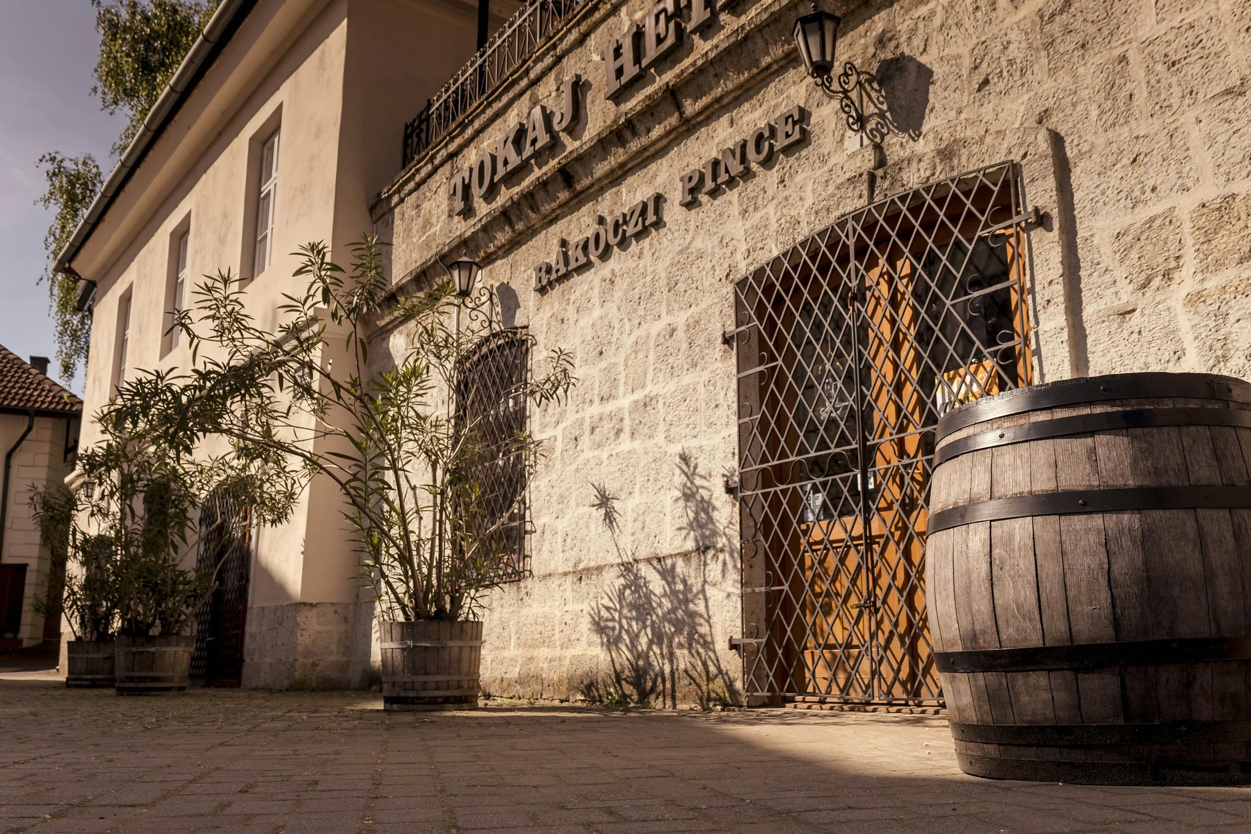 Stone facade of the Rakoczi Pince wine cellar in Tokaj with a wrought iron lattice gate, bamboo plants in terracotta pots and an oak wine barrel outside on a sunny afternoon in Hungary