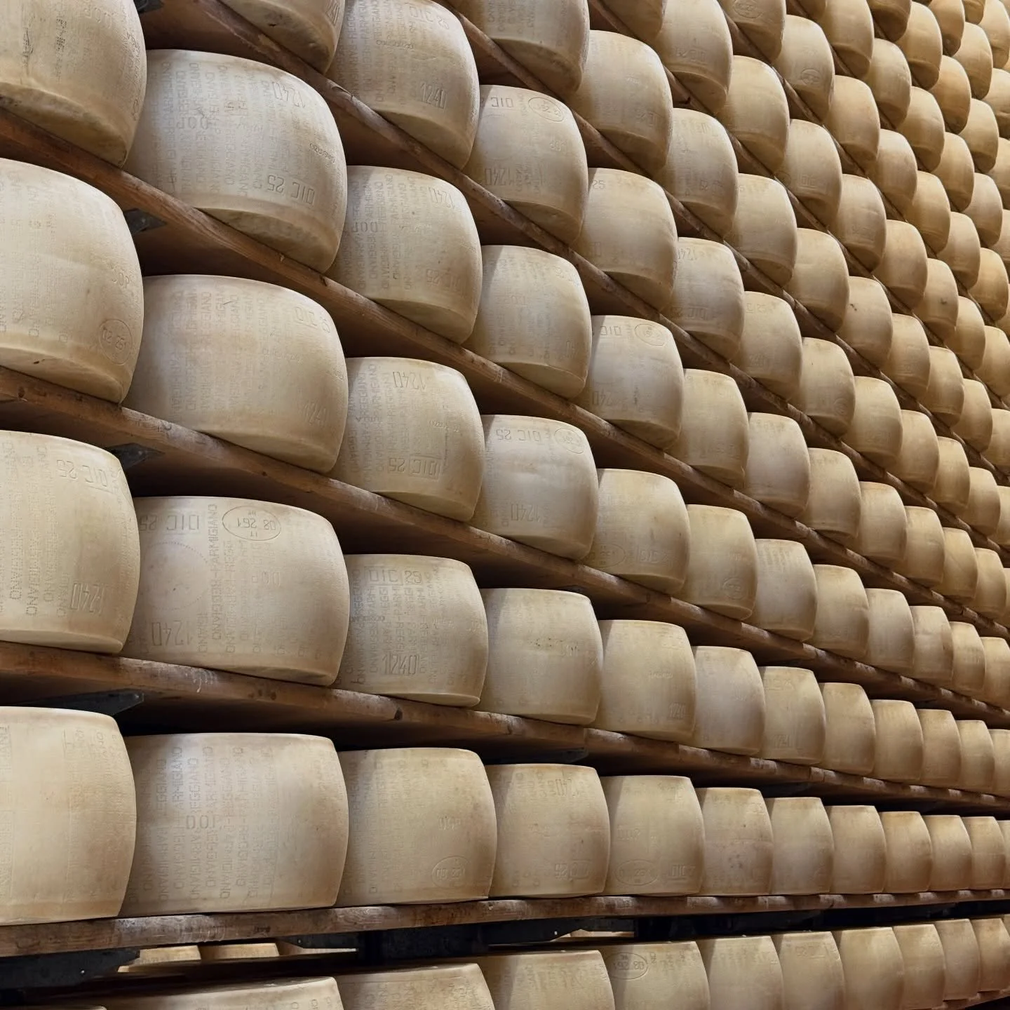 Emilia Romagna surprises at every turn. Savor prosciutto, parmigiano reggiano, and balsamic in the heart of Food Valley. Paired with wine and finest olive oil, explore the old towns known for great food and fast cars. A gem to add to any Italy trip, 