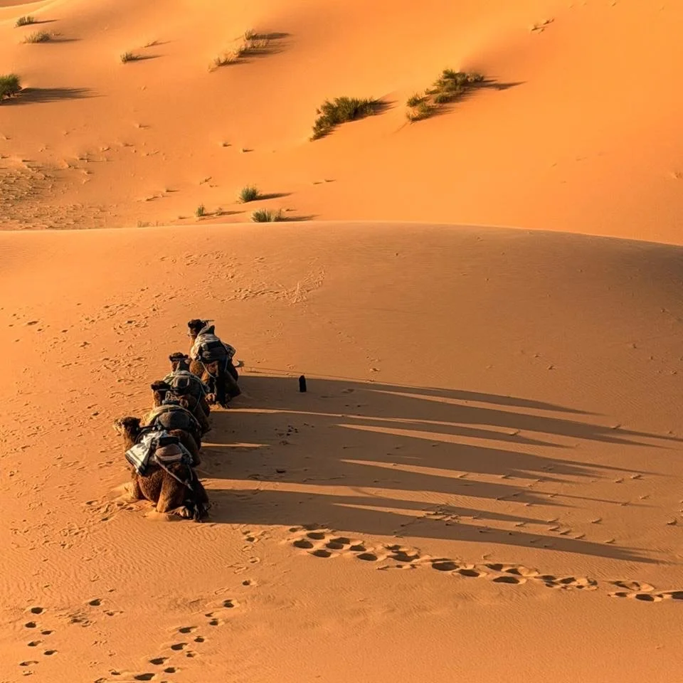 Say hello to Marta and Daniel! They're traveling through #spain and #morocco with us and having the time of their lives. Their Sahara desert dreams came true, and they're sharing some amazing photos. 

Next up, #andalucia 

Ready to plan your journey