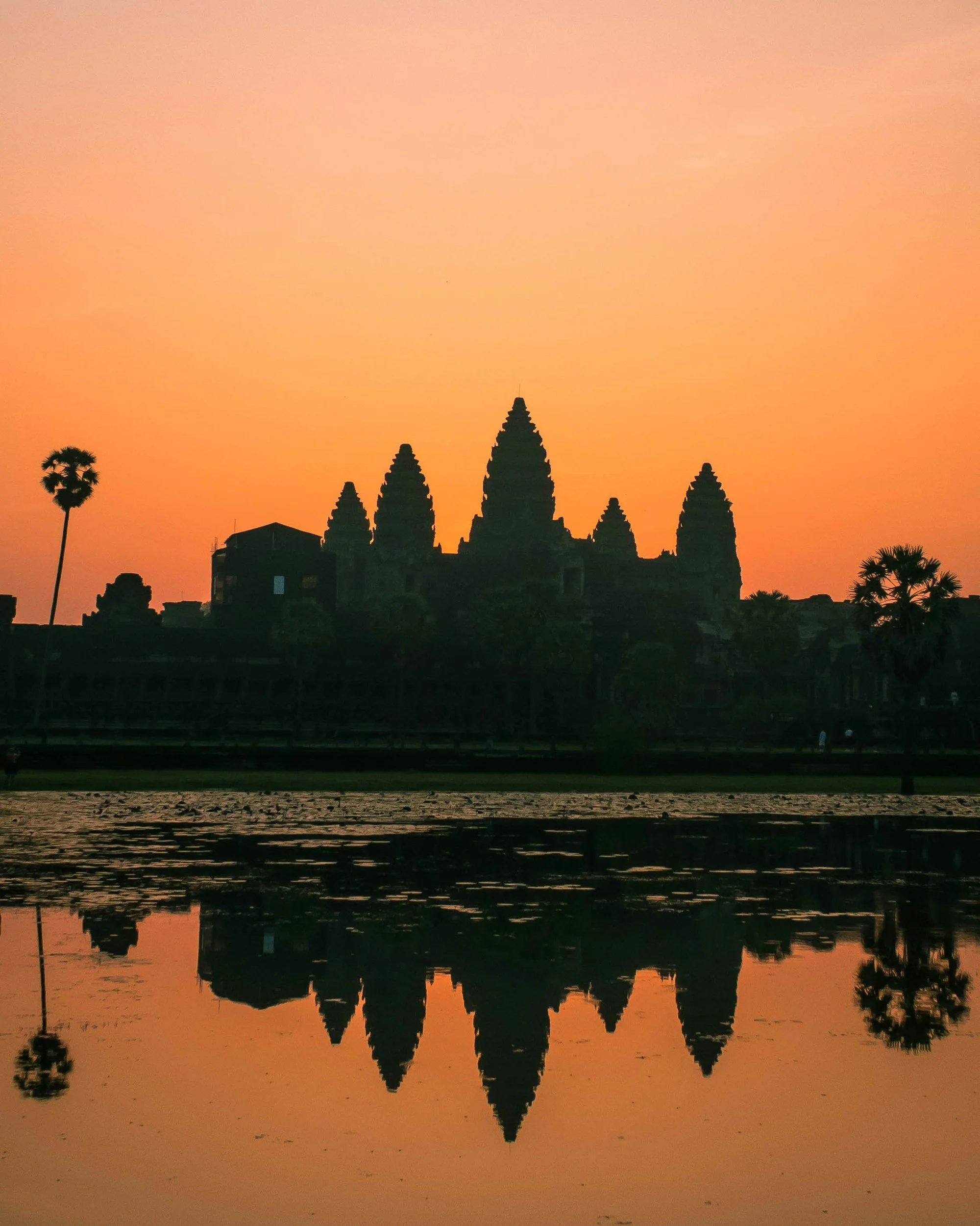 The five towers of Angkor Wat silhouetted against a vivid orange sunrise sky, perfectly reflected in the still surface of the temple moat, with palm tree silhouettes on the left, Siem Reap, Cambodia
