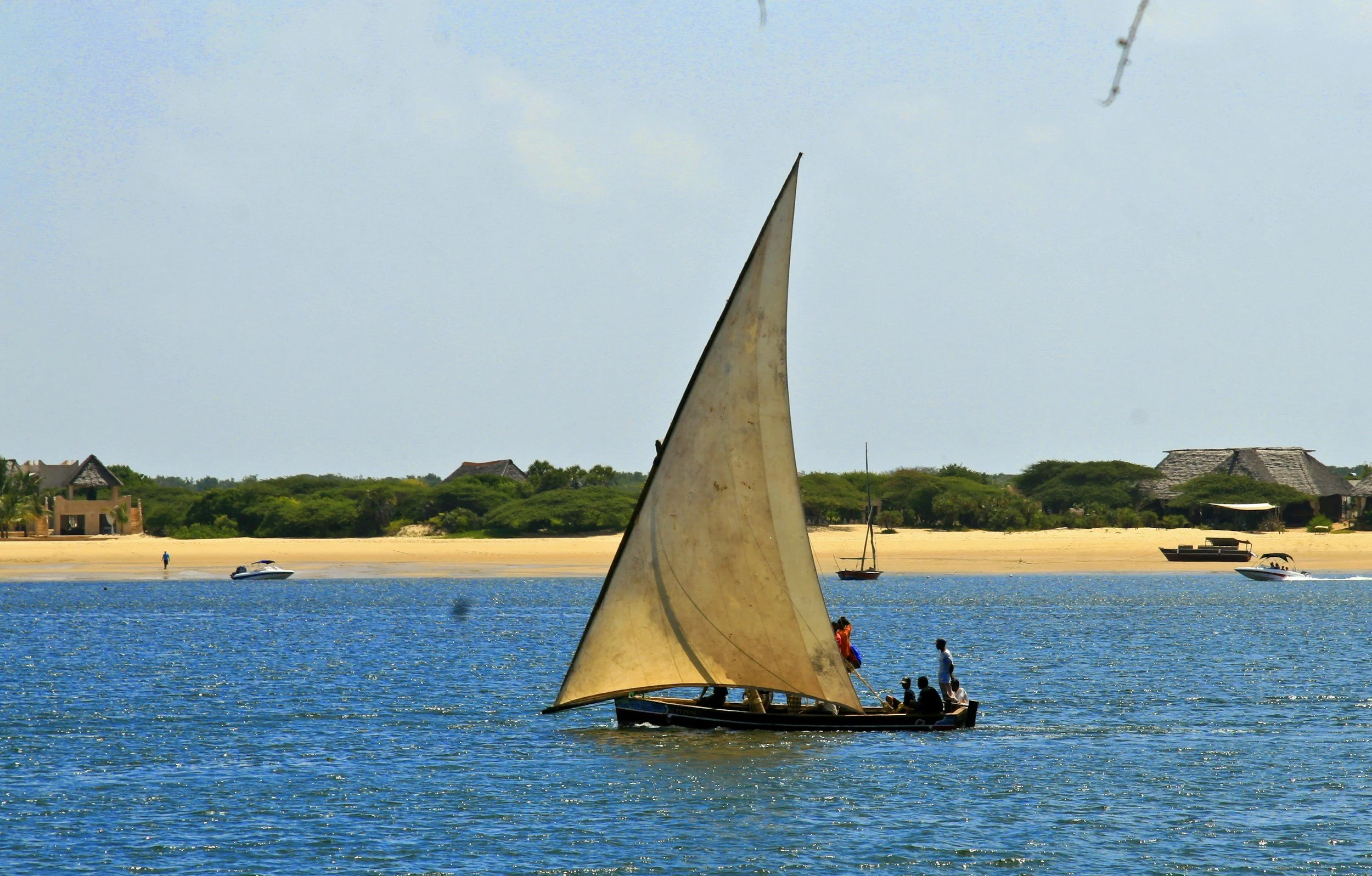 Traditional wooden dhow with a large sail gliding across the calm turquoise waters off the Swahili Coast near Lamu, Kenya, with mangroves and sandy shores behind