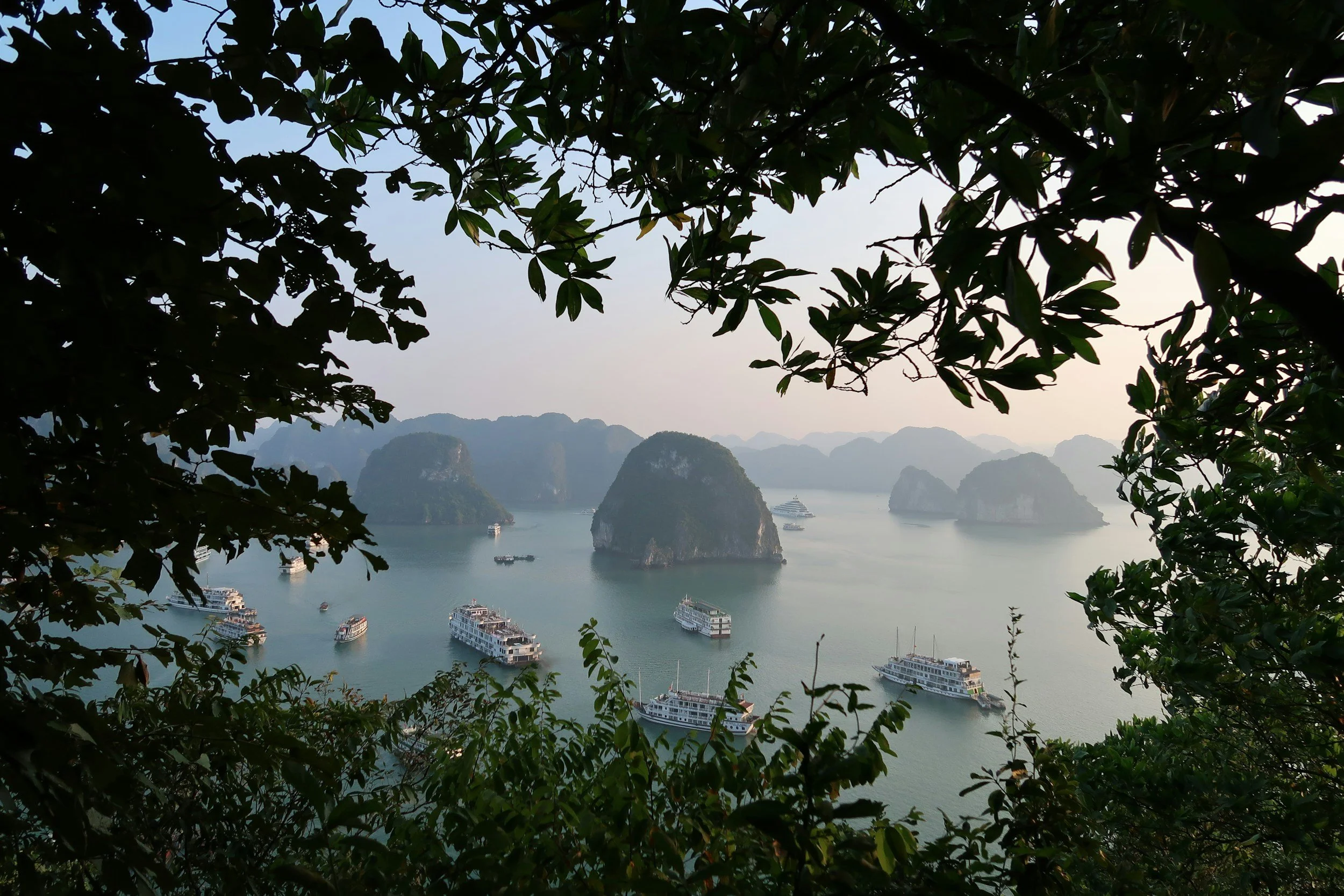 Aerial view of Ha Long Bay limestone karsts rising from calm grey-green waters at dusk, framed by tropical foliage, with cruise vessels anchored below, Vietnam