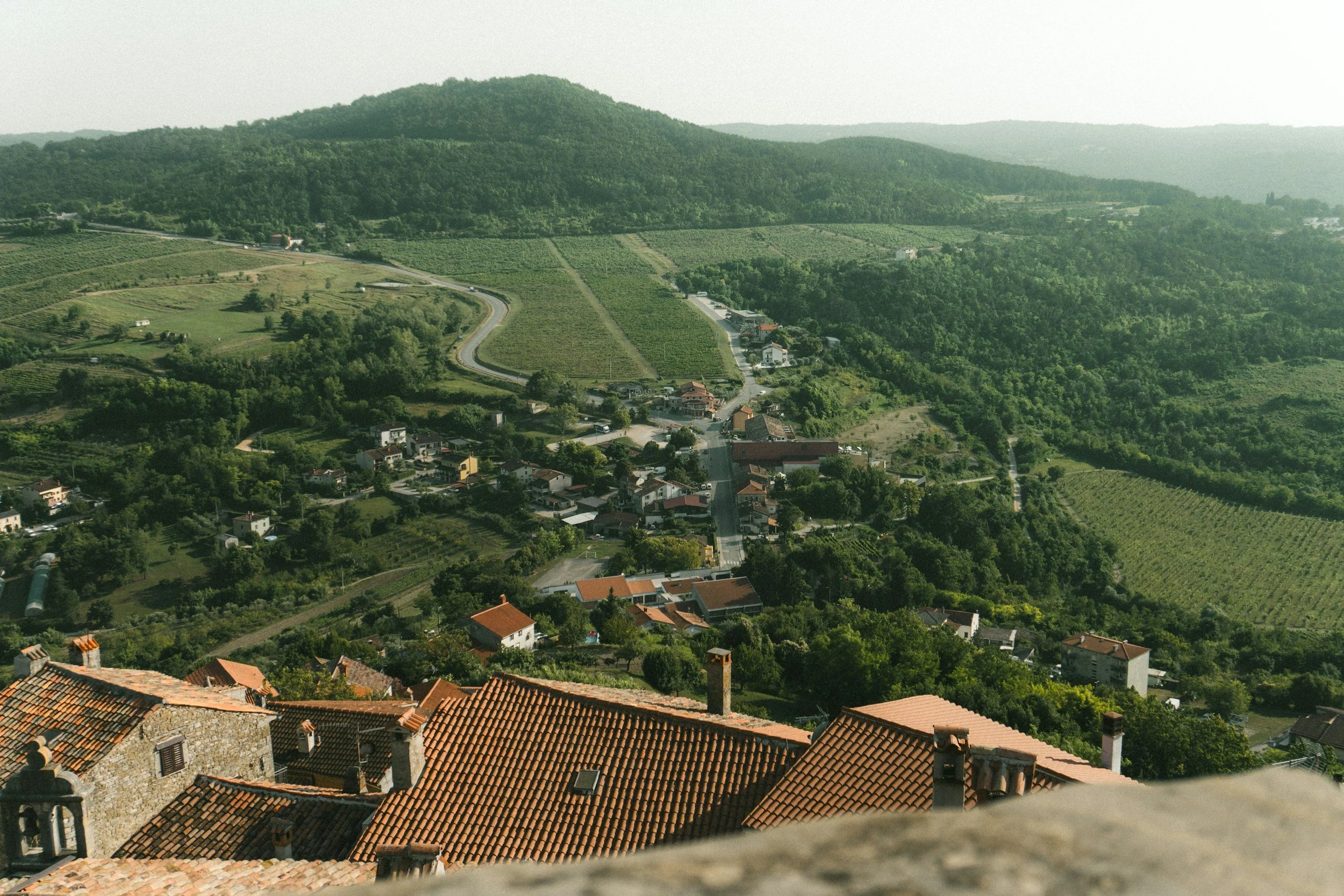 Rows of vineyards covering the rolling green hills of Istria with a traditional stone village and terracotta rooftops visible among the vines, Croatia