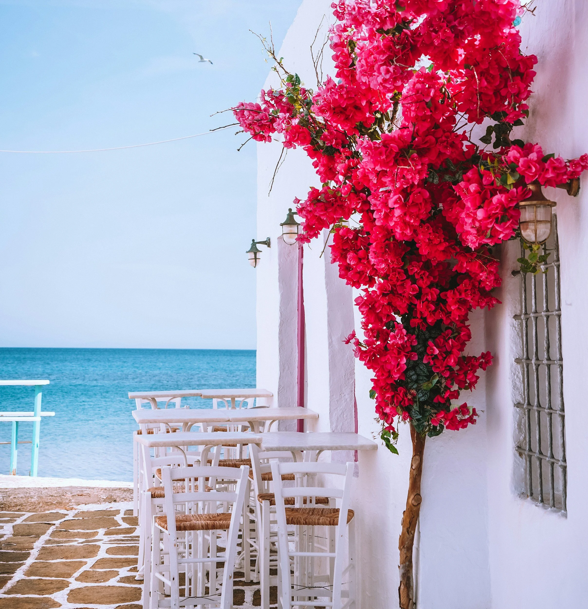 A whitewashed Cycladic building with vivid pink bougainvillea and white chairs overlooking the blue Aegean Sea in Paros, Greece