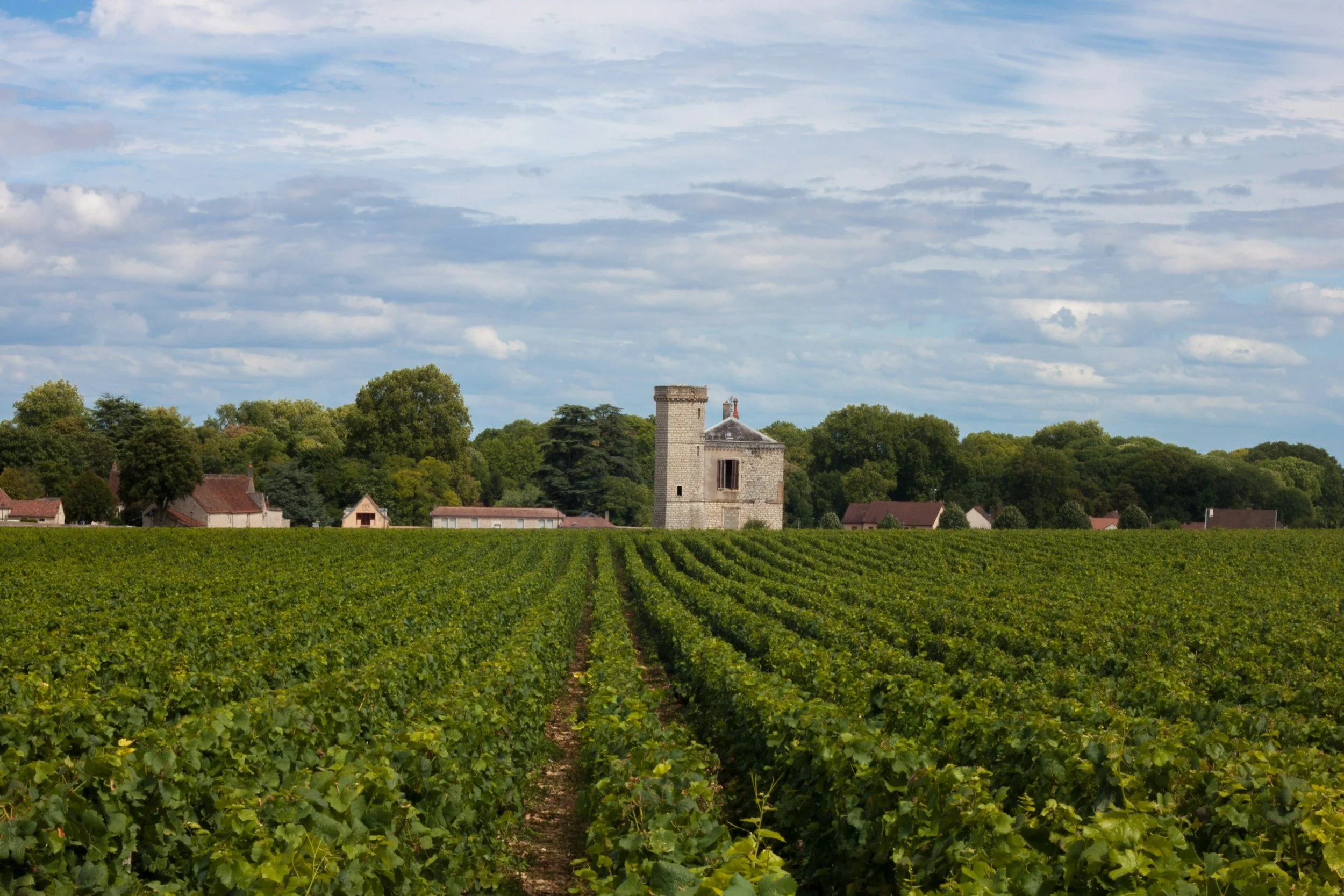 Rows of Burgundy vines in summer with a stone château and farm buildings visible among the vineyards under a partly cloudy sky, France