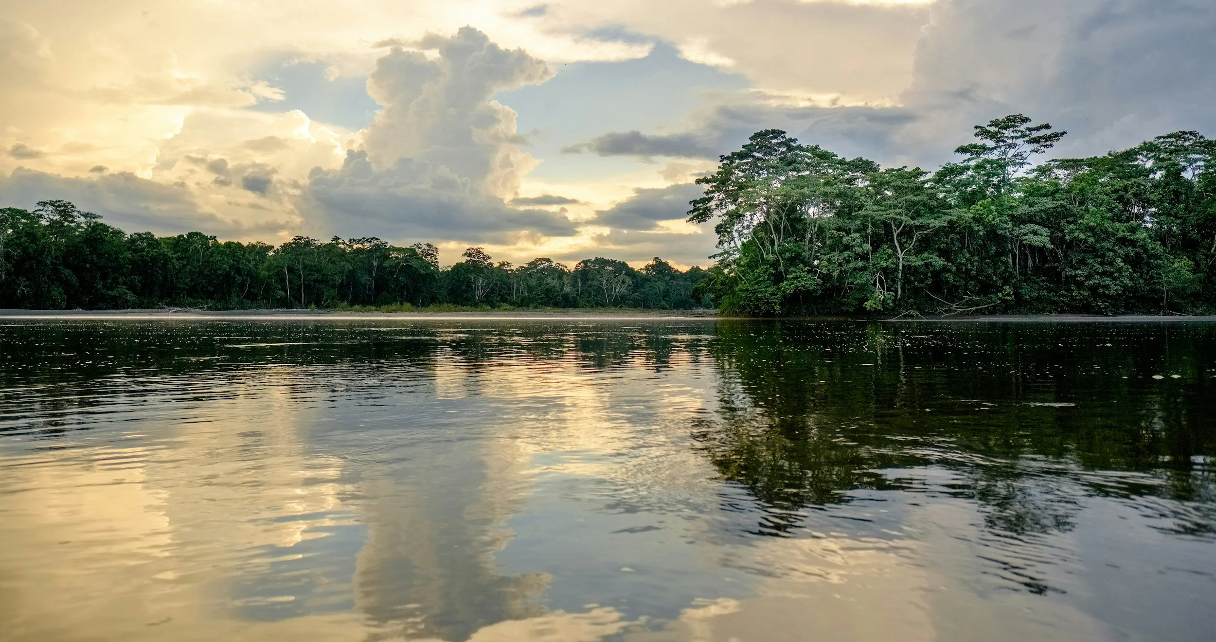 Still Amazon river at dusk reflecting dramatic golden clouds and towering jungle trees on the banks of the Ecuadorian Amazon