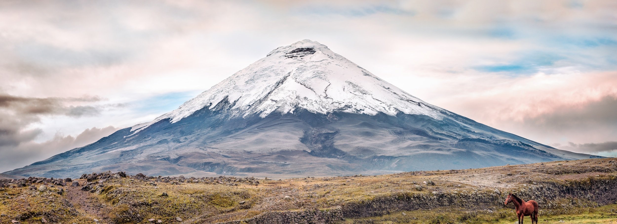 Snow-capped perfect cone of Cotopaxi volcano rising above the páramo highlands on a clear day in the Ecuadorian Andes