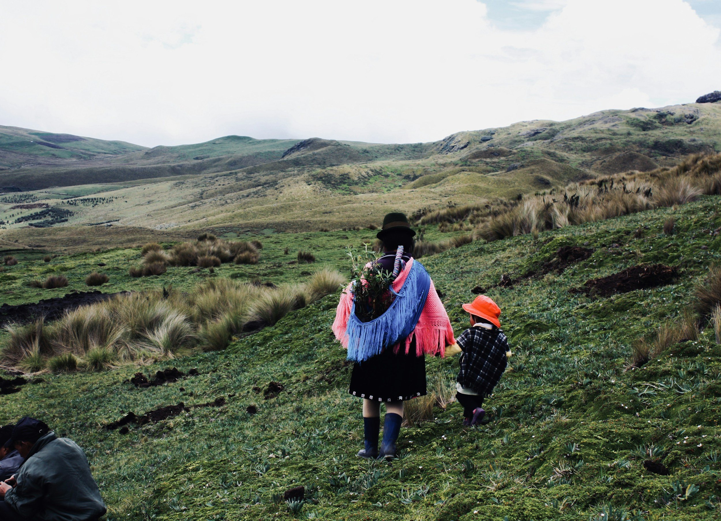 Two indigenous Kichwa women in traditional colourful dress walking through the green páramo hills near Otavalo, Ecuador