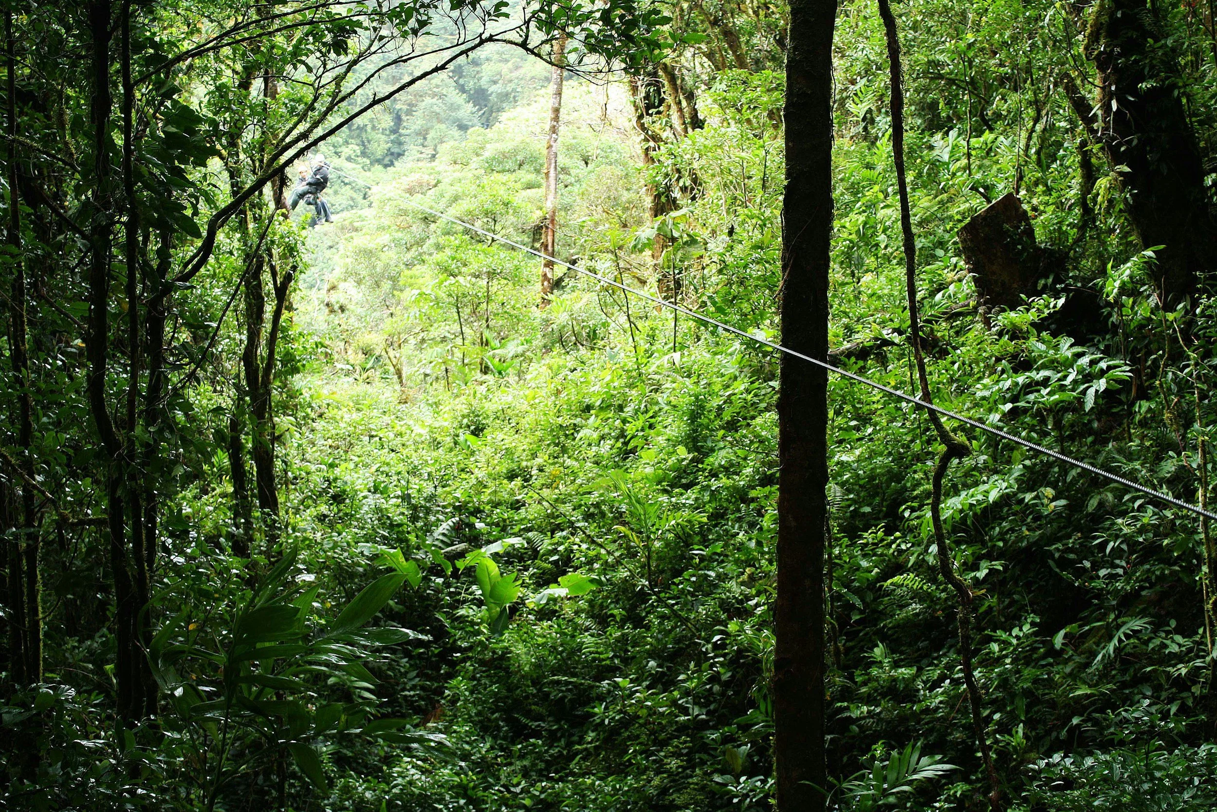 Zip line cable stretching across a deep green jungle valley with a rider visible high above the canopy, Costa Rica