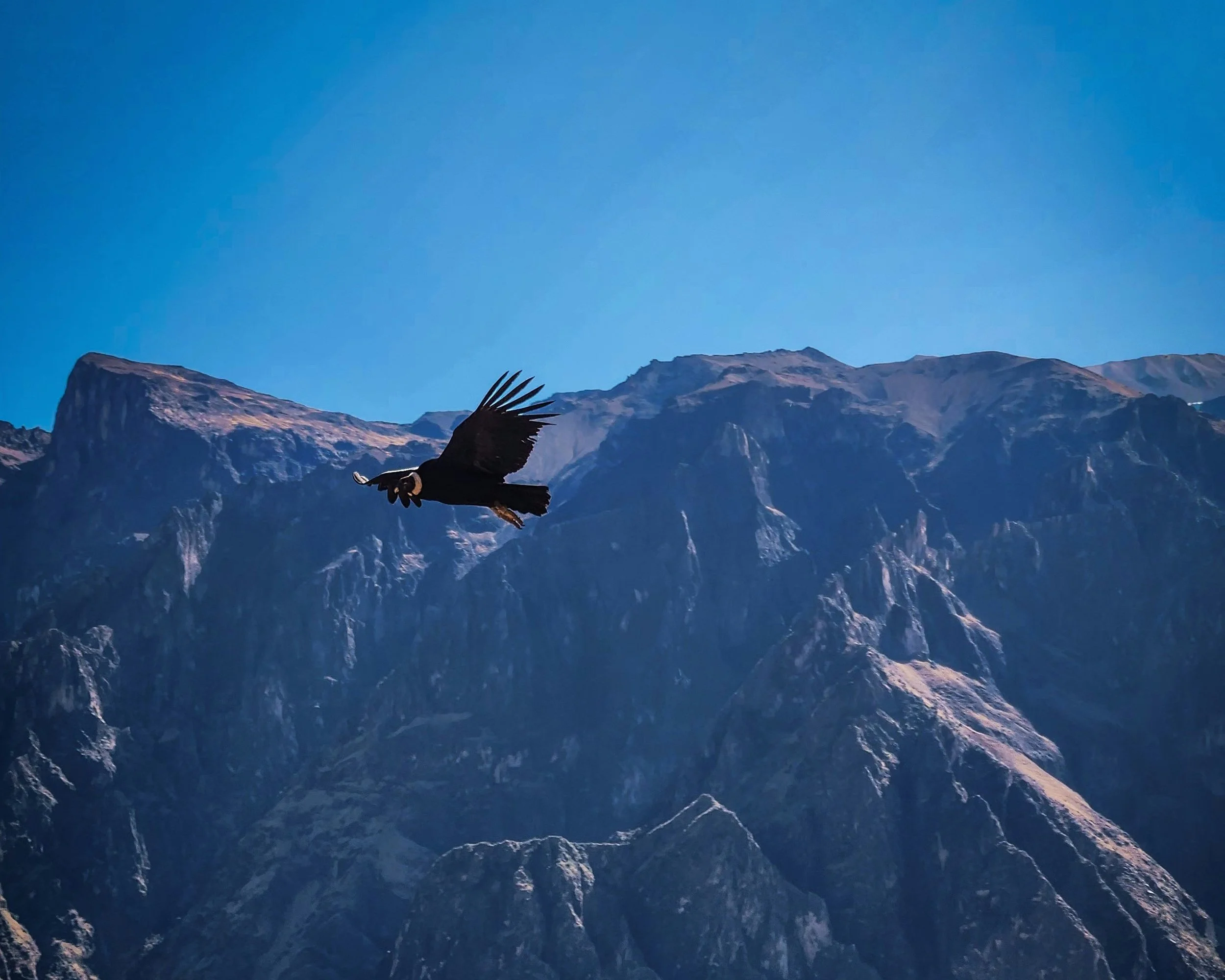 Custom luxury Arequipa and Colca Canyon experiences - private tours of white city and condor country