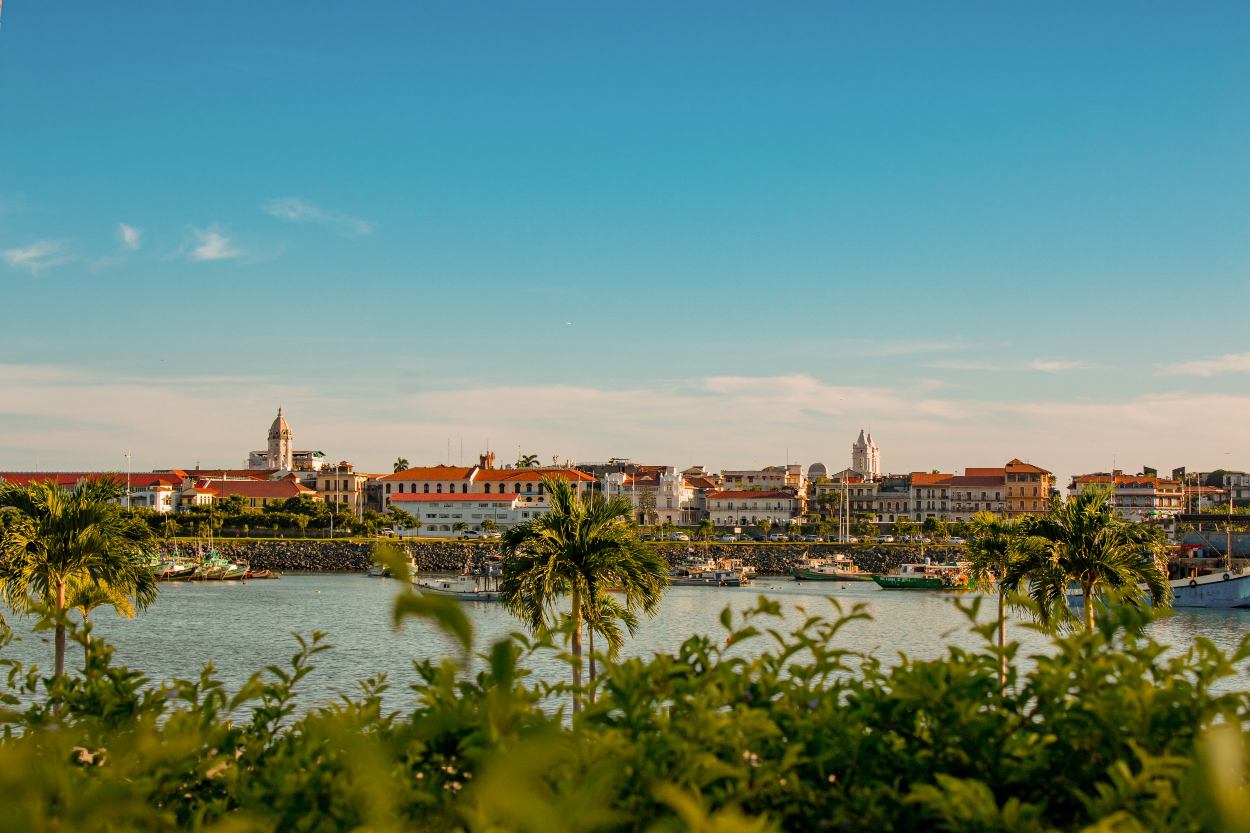 The colonial skyline of Casco Viejo in Panama City seen from across the water, with palm trees, church towers and the Pacific Ocean beyond, Panama