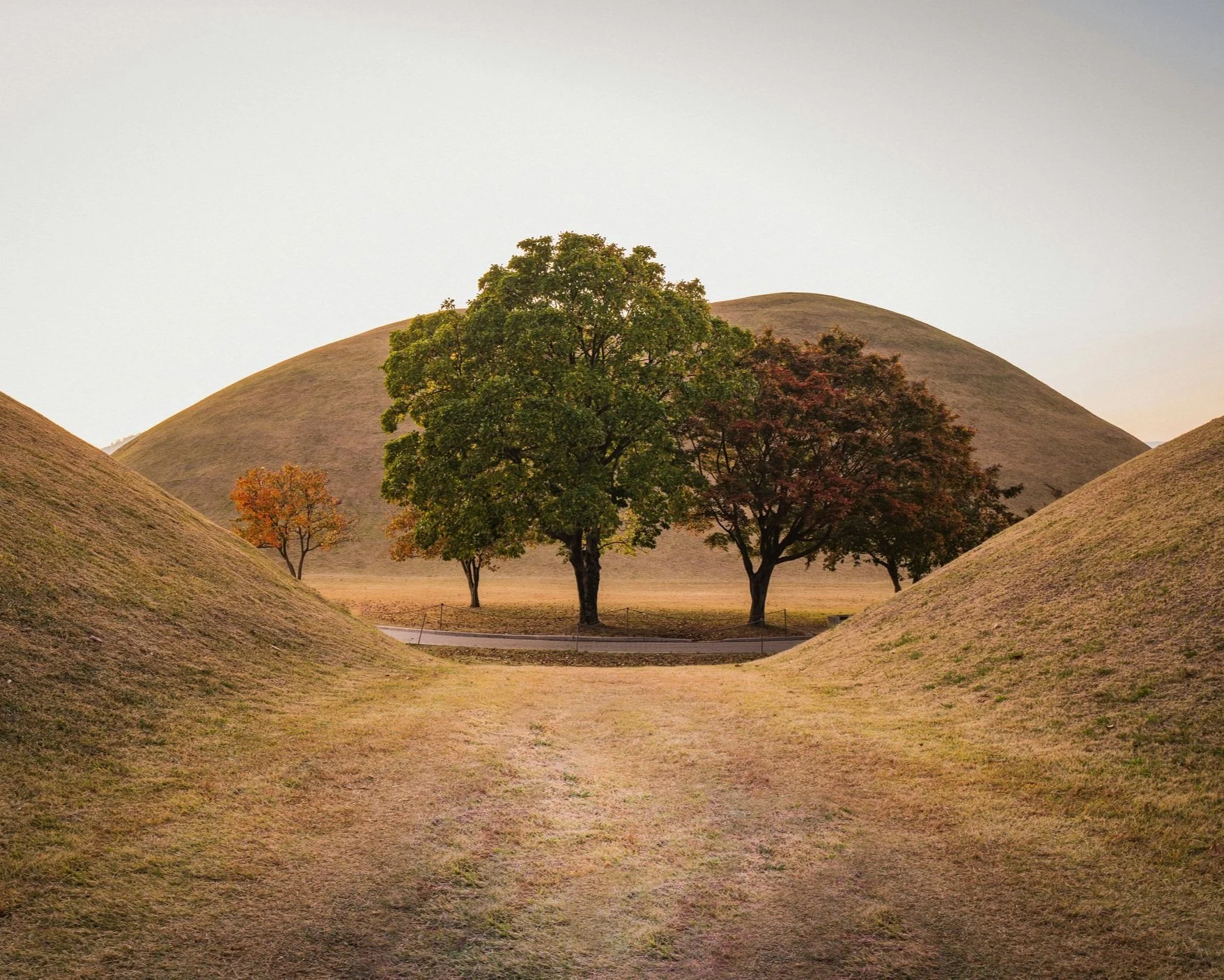 Ancient Silla royal burial mounds rising from the landscape of Gyeongju with trees in autumn colour on a private tour of South Korea