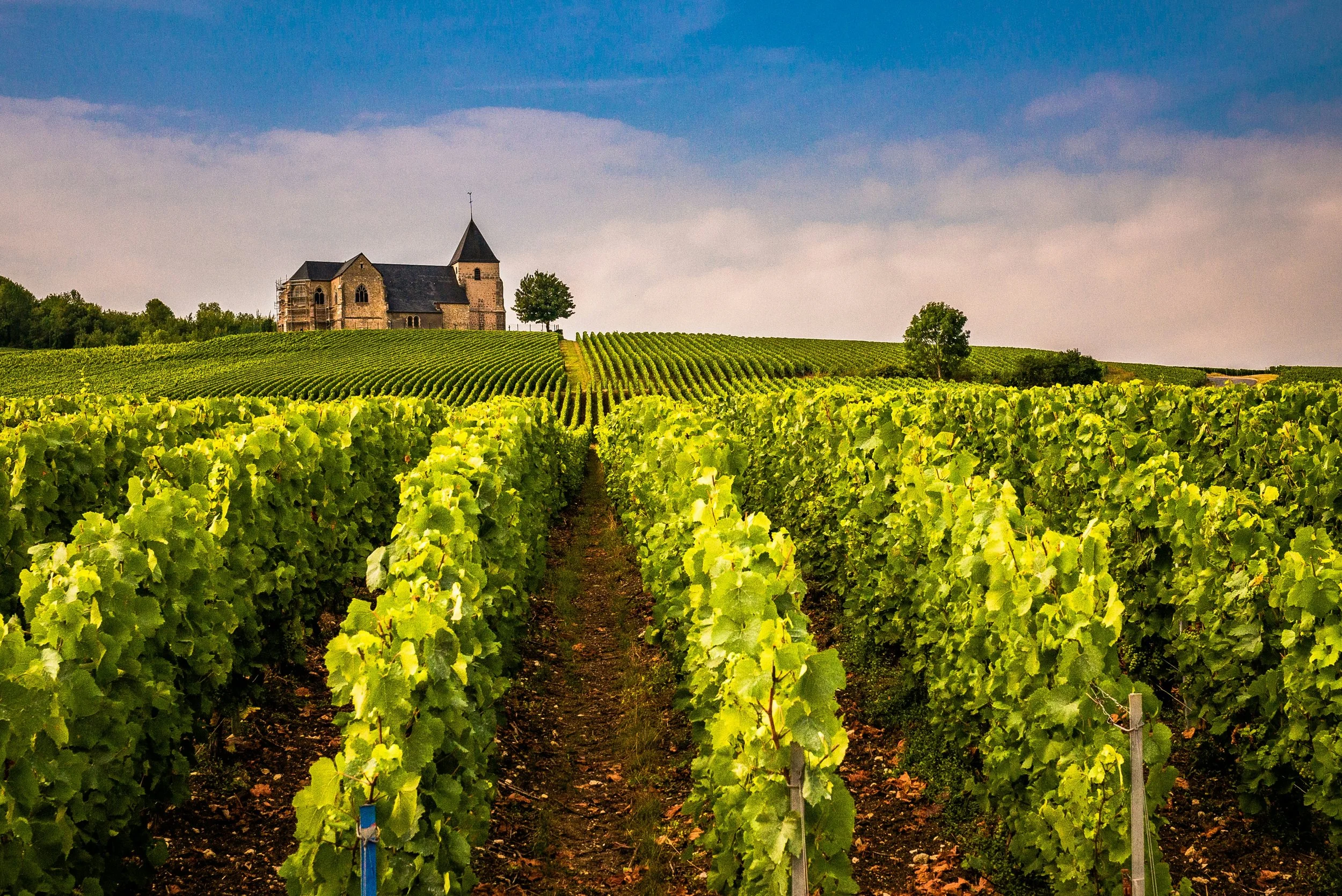 Green Champagne vineyards in summer stretching toward a stone village church under a dramatic cloudy sky in the Champagne region, France