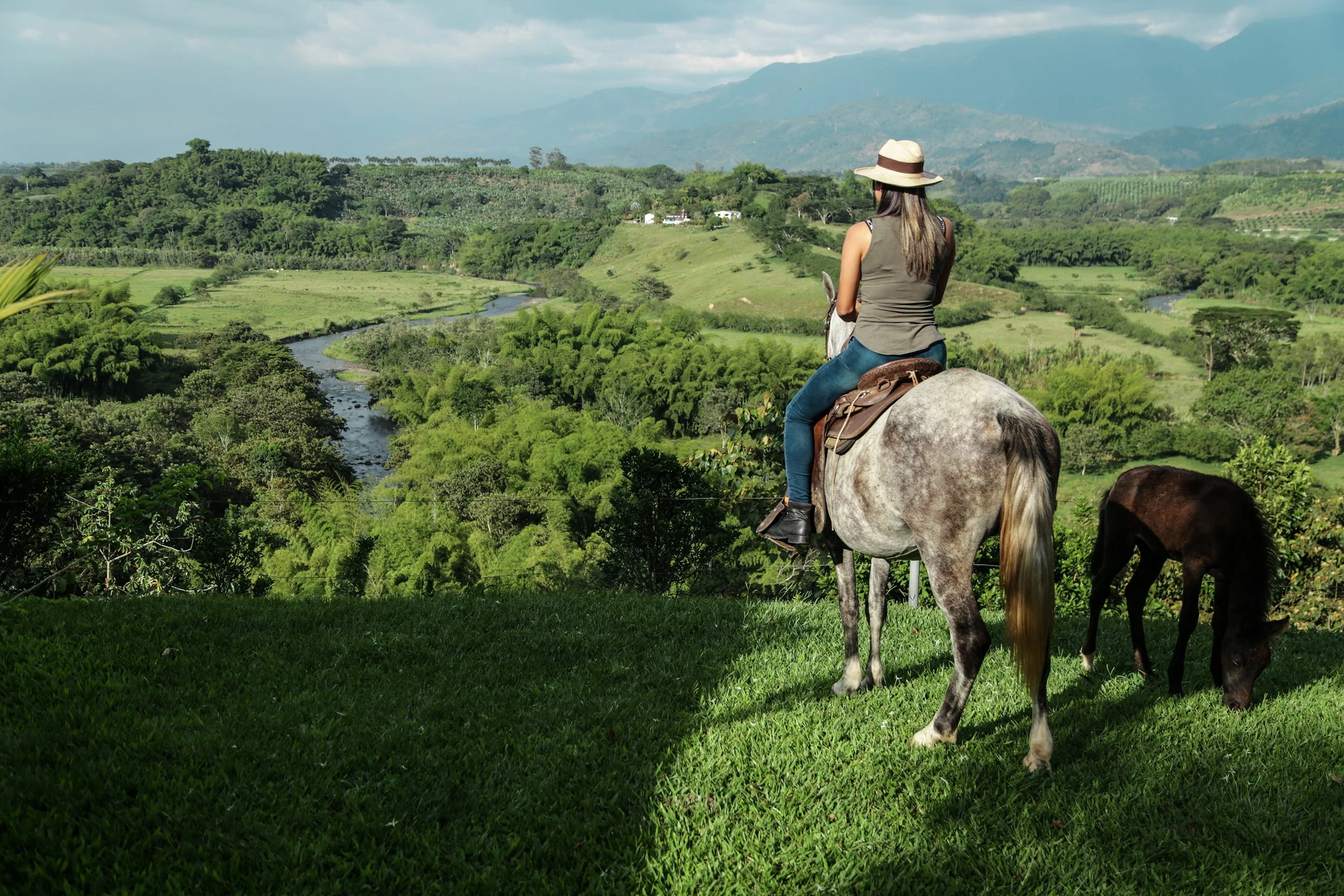 Rider on horseback overlooking a lush green valley and winding river in the coffee highlands of Colombia