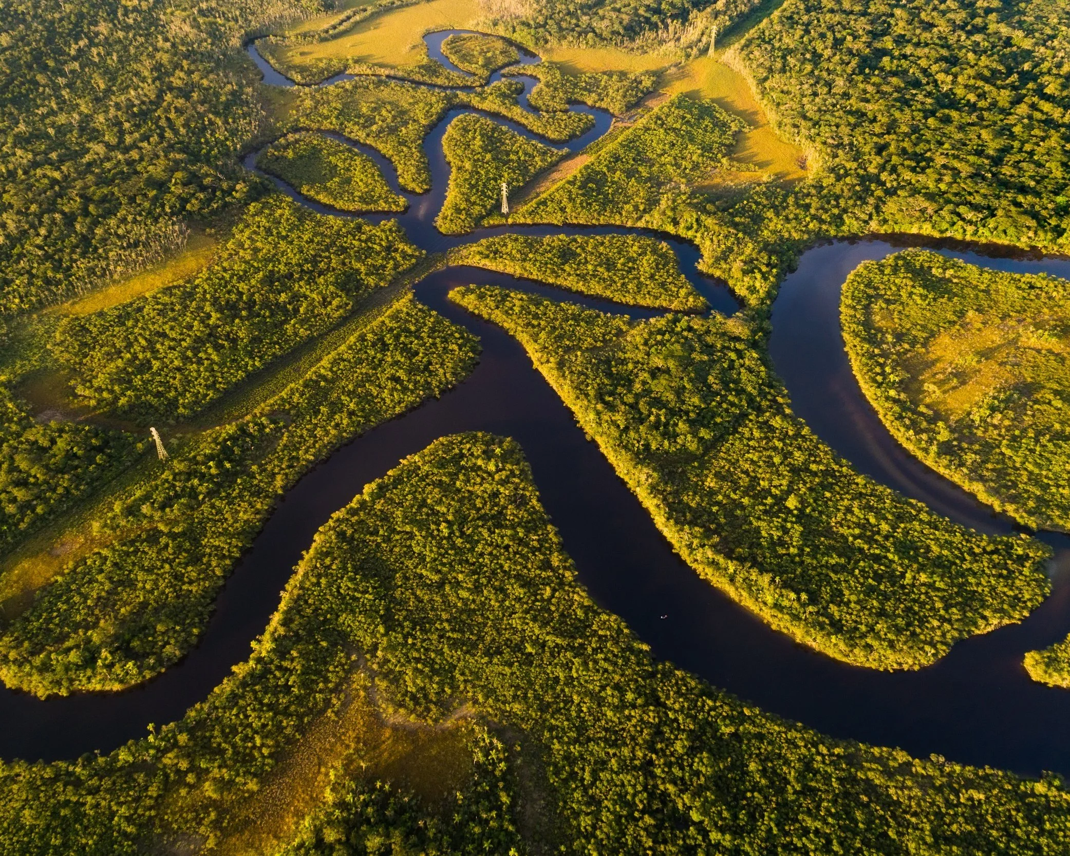 Aerial view of a winding dark river cutting through the dense green canopy of the Amazon rainforest, Brazil