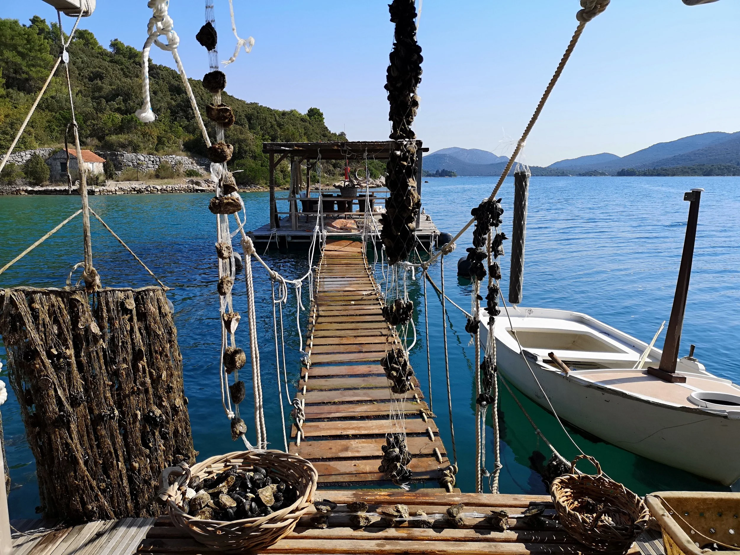 A rustic wooden oyster farming jetty in Mali Ston Bay on the Pelješac Peninsula, with oyster ropes hanging in the clear blue water and forested hillsides beyond, Croatia