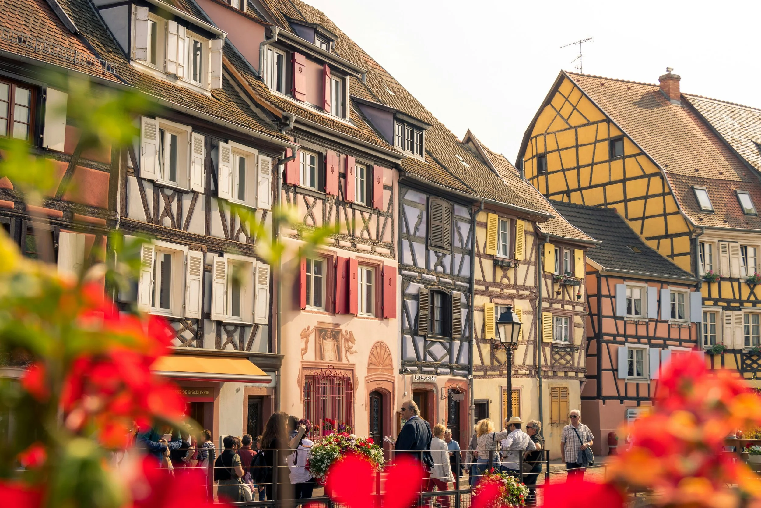 Colourful half-timbered Alsatian houses in Colmar with flower boxes and visitors strolling below, on the Franco-German border wine route, France