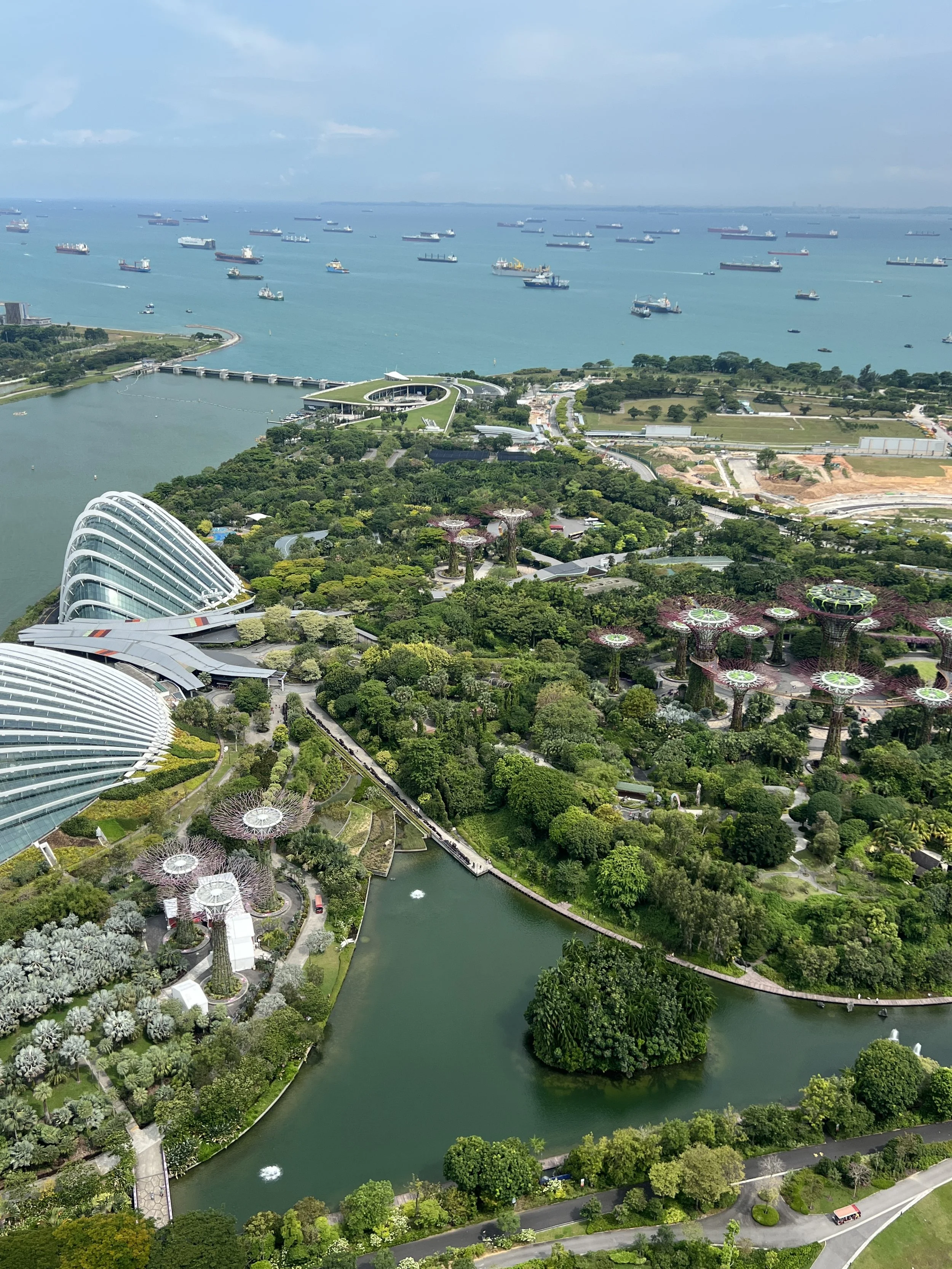 Aerial view of Gardens by the Bay in Singapore showing the Flower Dome and Cloud Forest conservatories, Supertree Grove and waterfront gardens alongside Marina Bay, with cargo ships visible on the strait in the distance