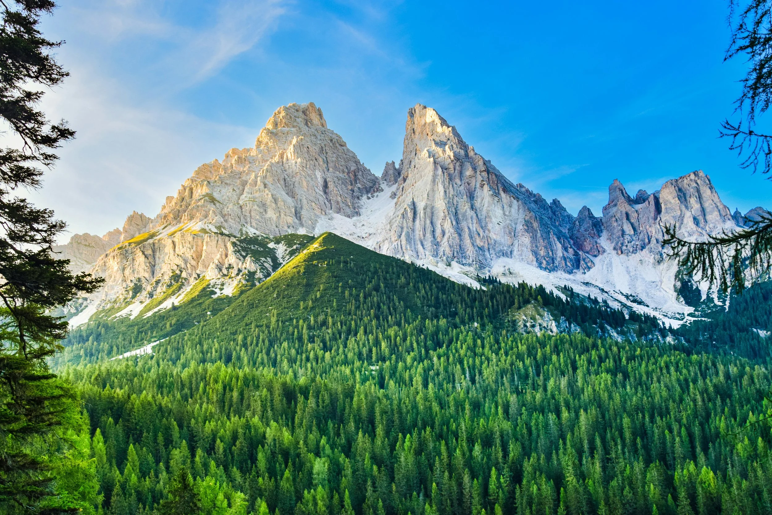 Jagged limestone Dolomite peaks rising above a dense pine forest under a blue sky in the Italian Alps, one of Europe's most dramatic mountain landscapes, Italy