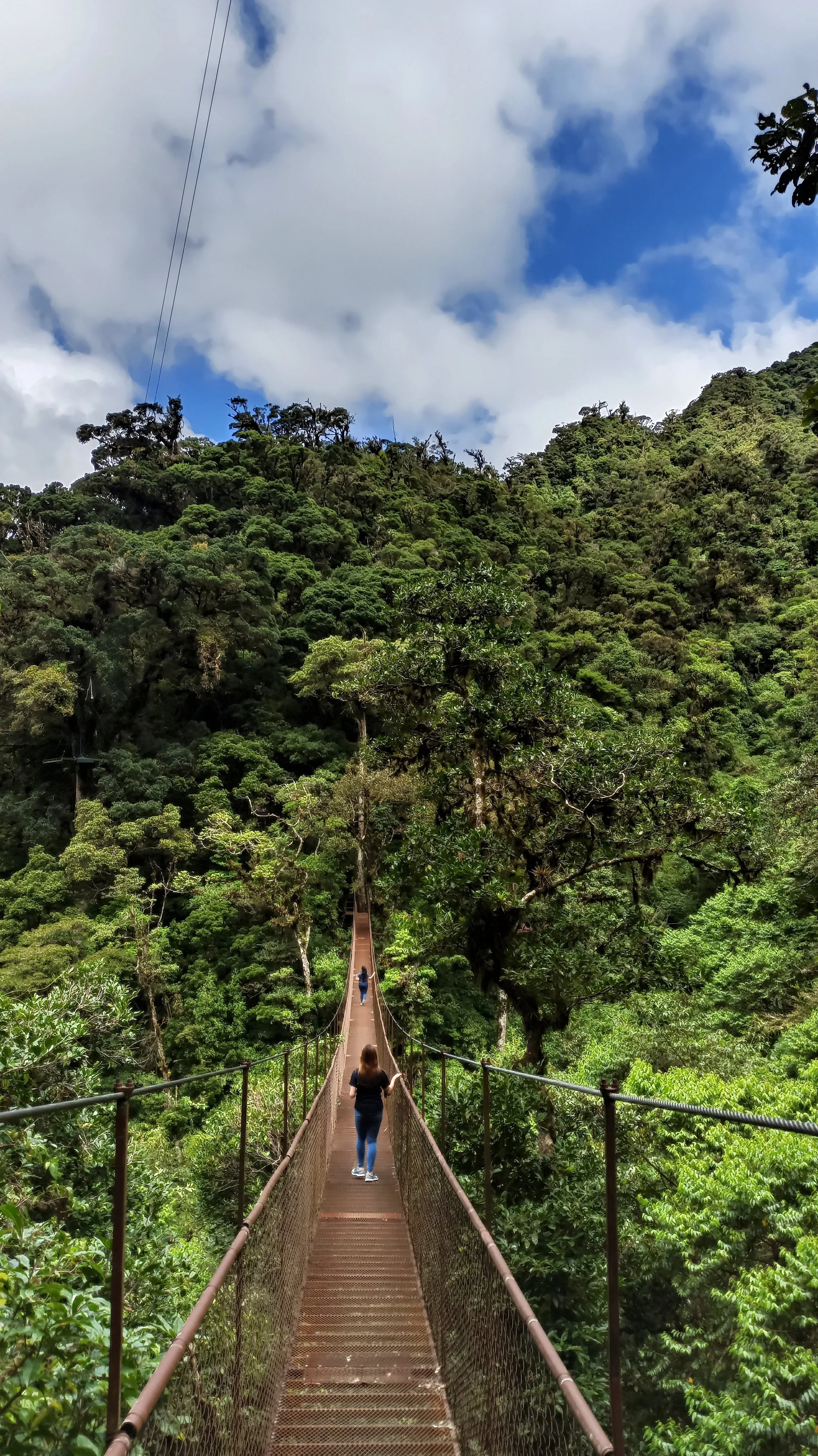 A traveller walking across a hanging suspension bridge through dense cloud forest canopy in the highlands of Boquete, Panama