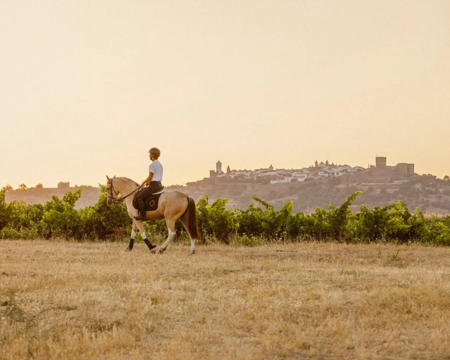 A rider on horseback crossing golden dry grassland in the Alentejo, with a hilltop medieval village visible in the distance under a warm evening sky, Portugal