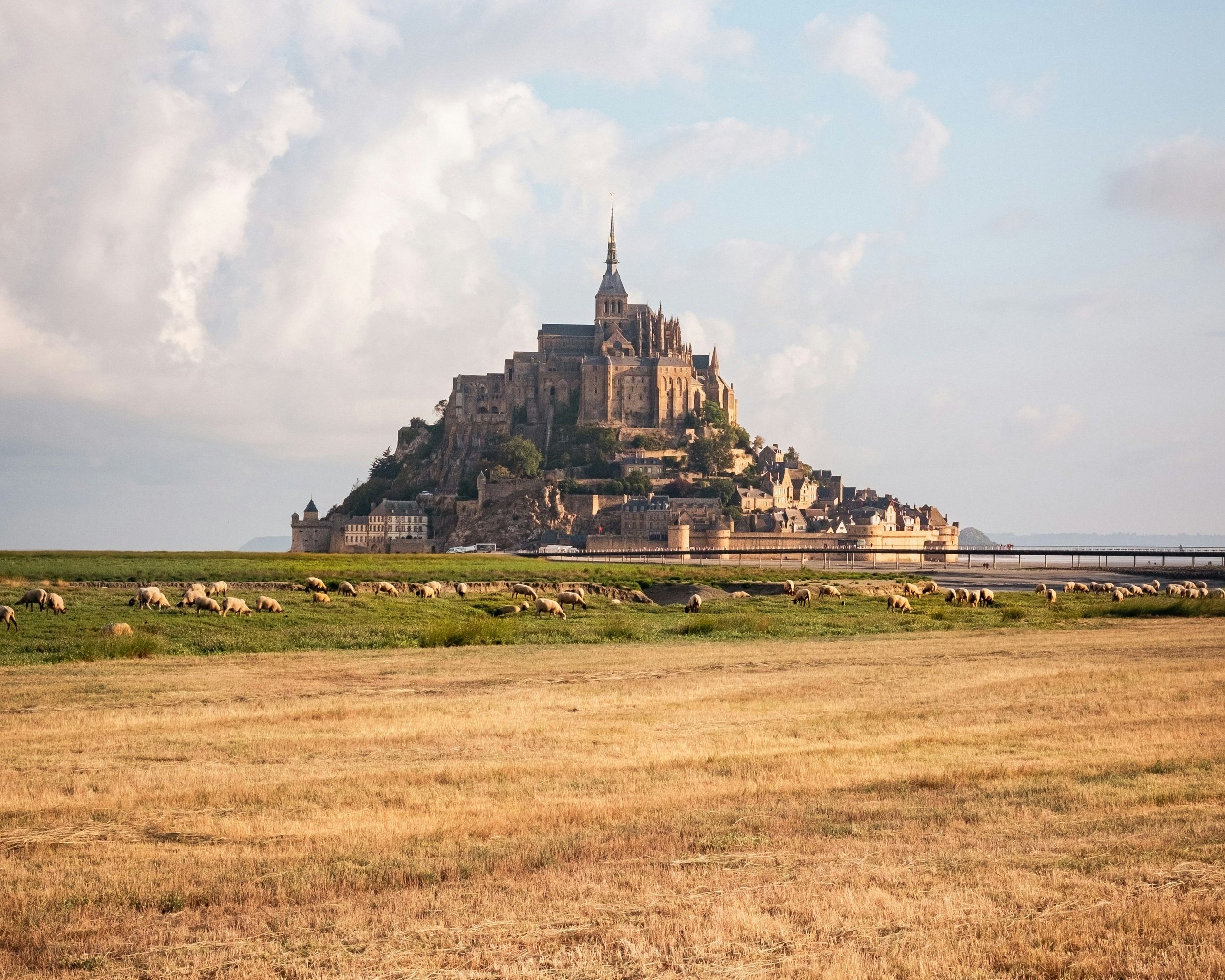 The medieval island abbey of Mont Saint-Michel rising above golden tidal flats in Normandy, with a flock of sheep grazing in the foreground, France
