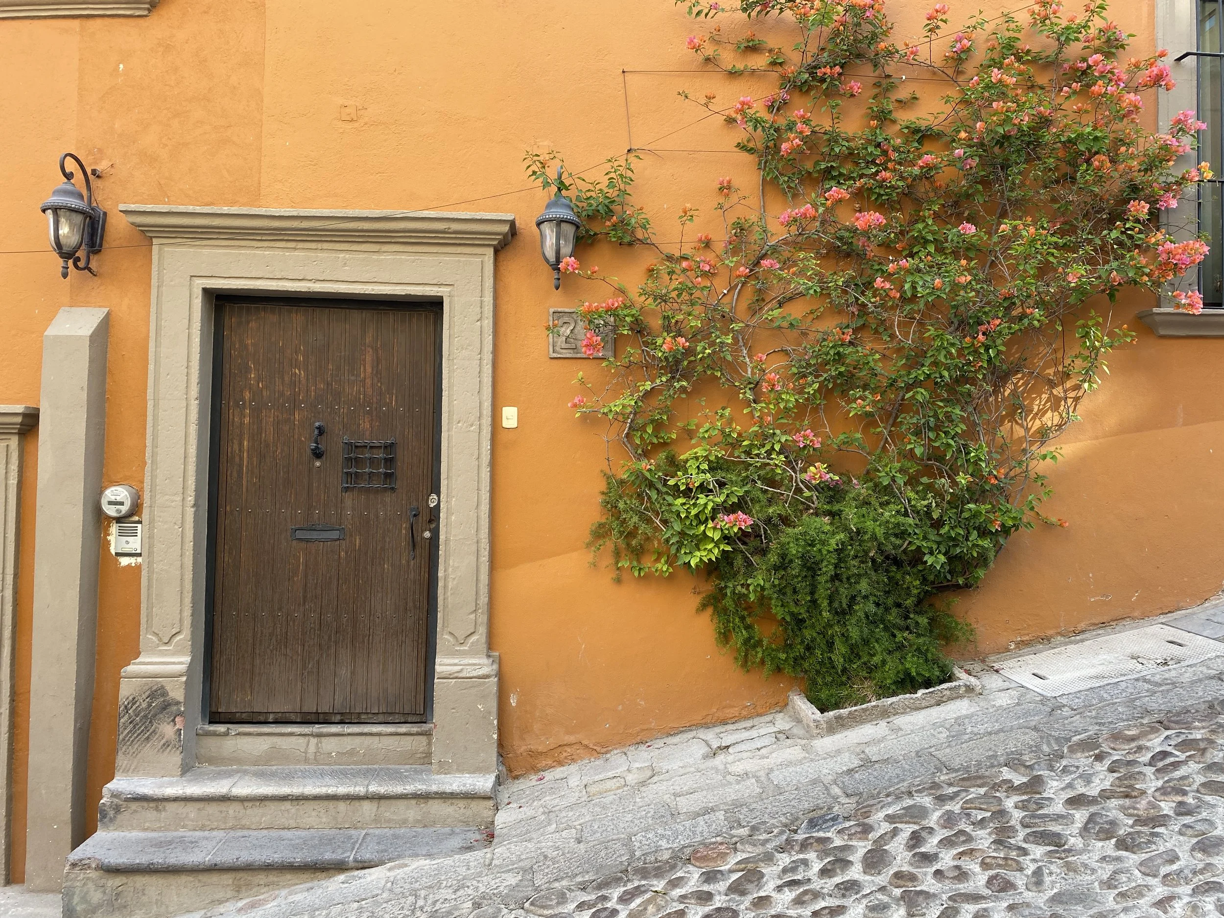 Bright orange colonial facade with a wooden door and bougainvillea climbing the wall on a cobblestone street in San Miguel de Allende, Mexico