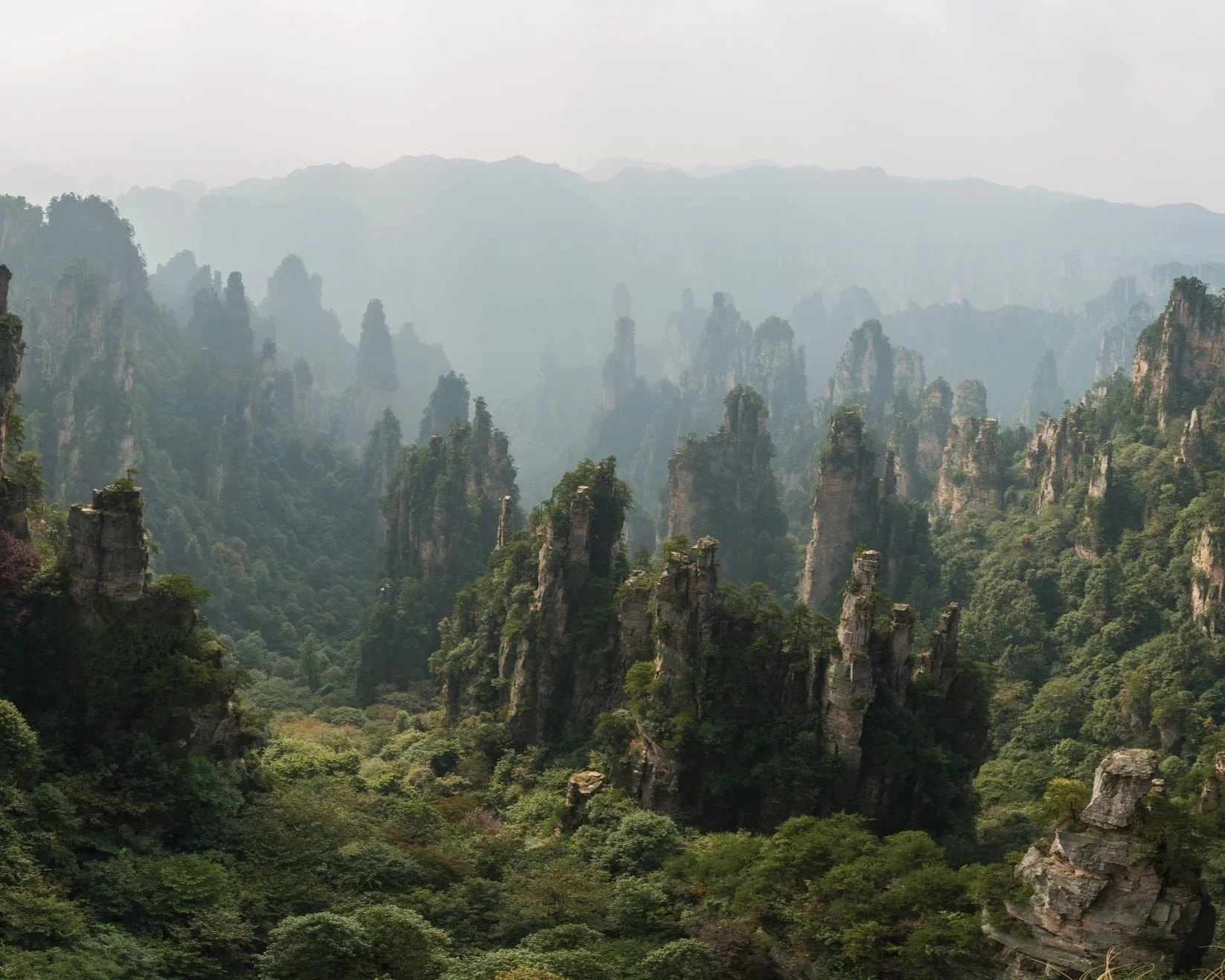 Towering sandstone pillar mountains covered in green vegetation rising through misty cloud forest in Zhangjiajie National Forest Park, Hunan Province, China