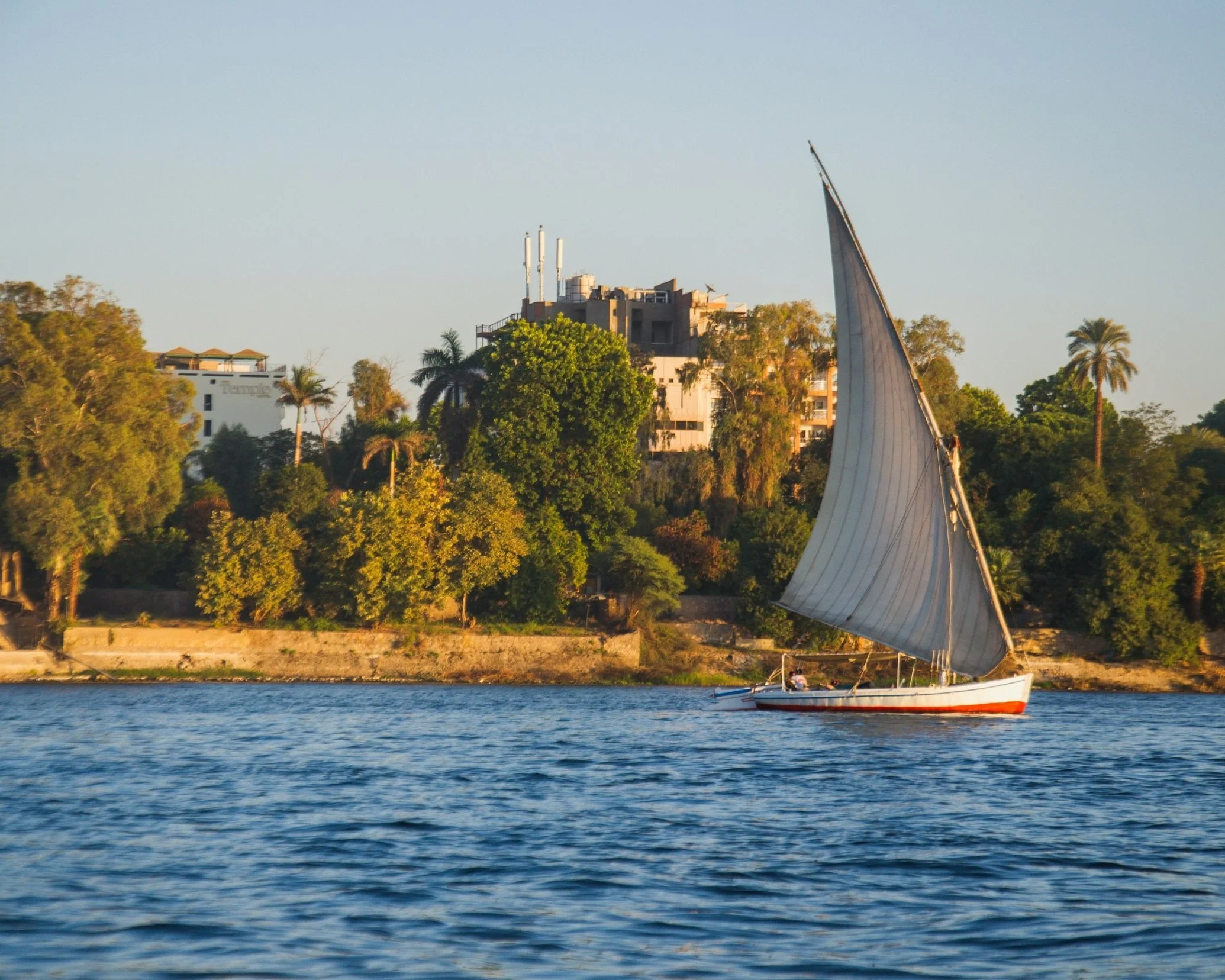 Traditional white-sailed felucca gliding along the Nile River with palm trees and temples on the banks, Luxor, Egypt