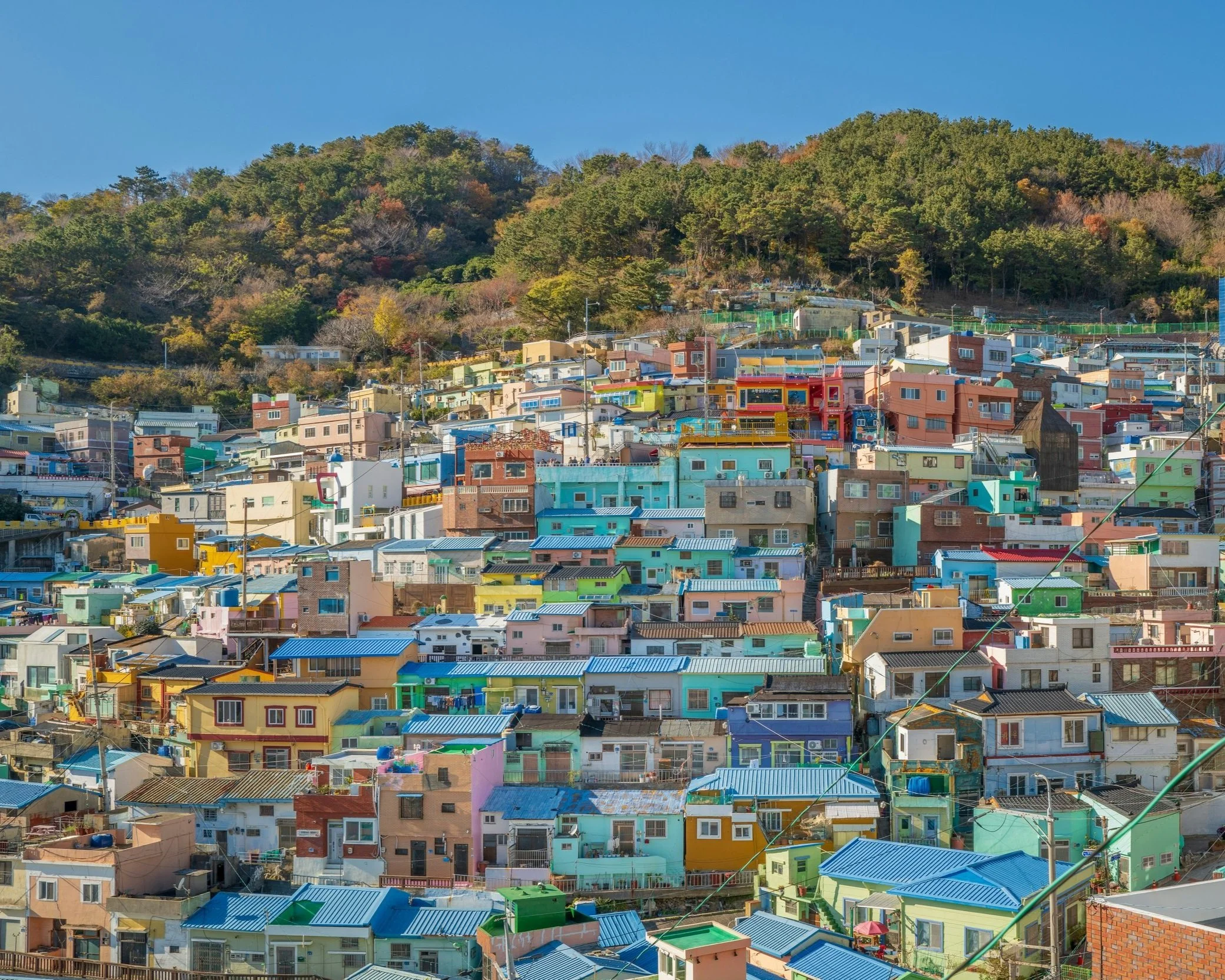Colourful hillside houses of Gamcheon Culture Village cascading down toward the sea in Busan on a private tour of South Korea