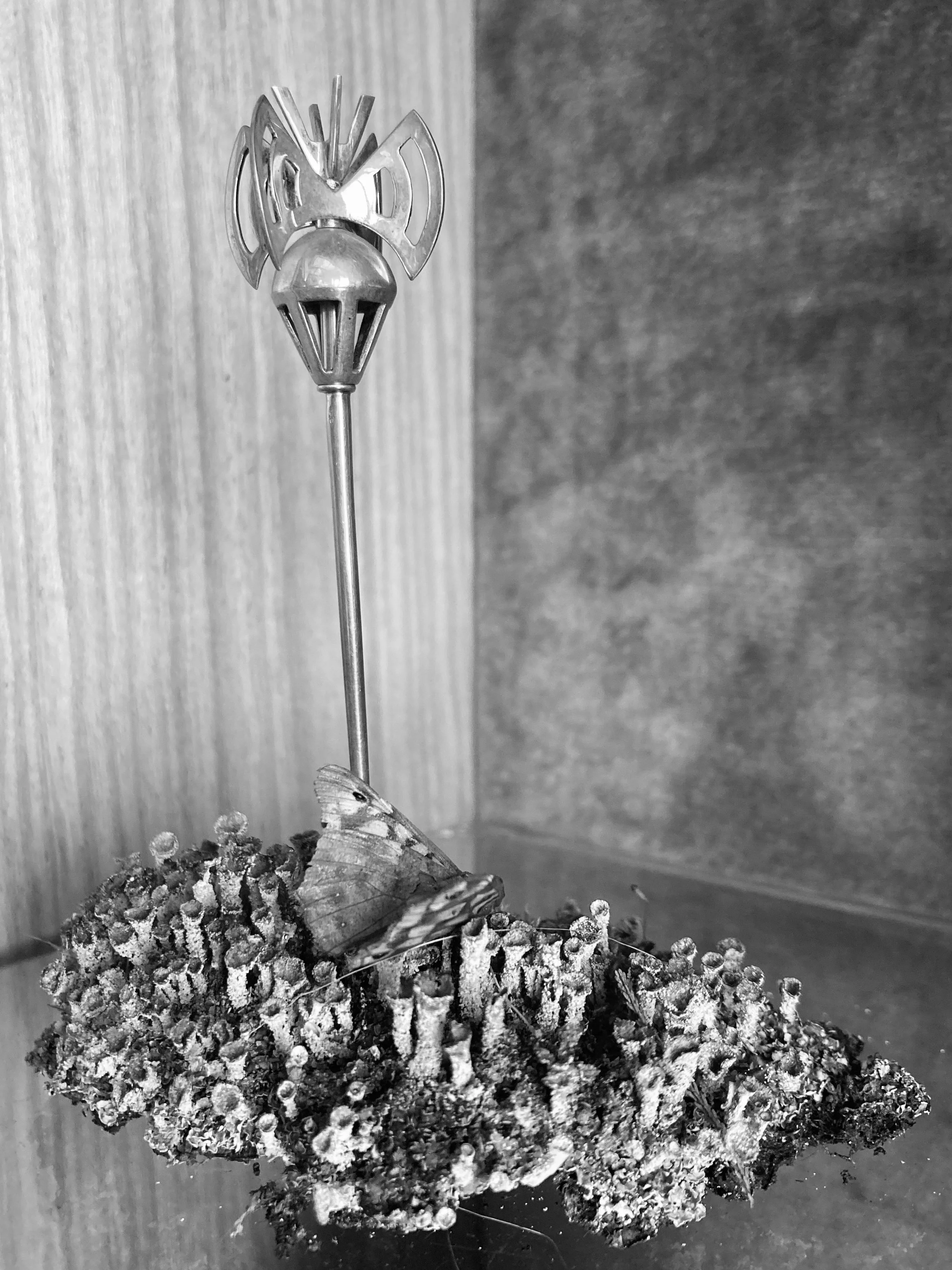 image00029.jpeg